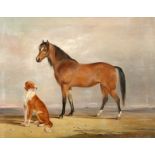 ALEXANDER FREDERICK ROLFE (1815-1907), ARAB MARE WITH DOG