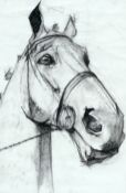 *** HOFFMANN II (IN THE MANNER OF JO TAYLOR), STUDY OF A HORSES HEAD