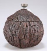 A 19th century Brazil nut husk box