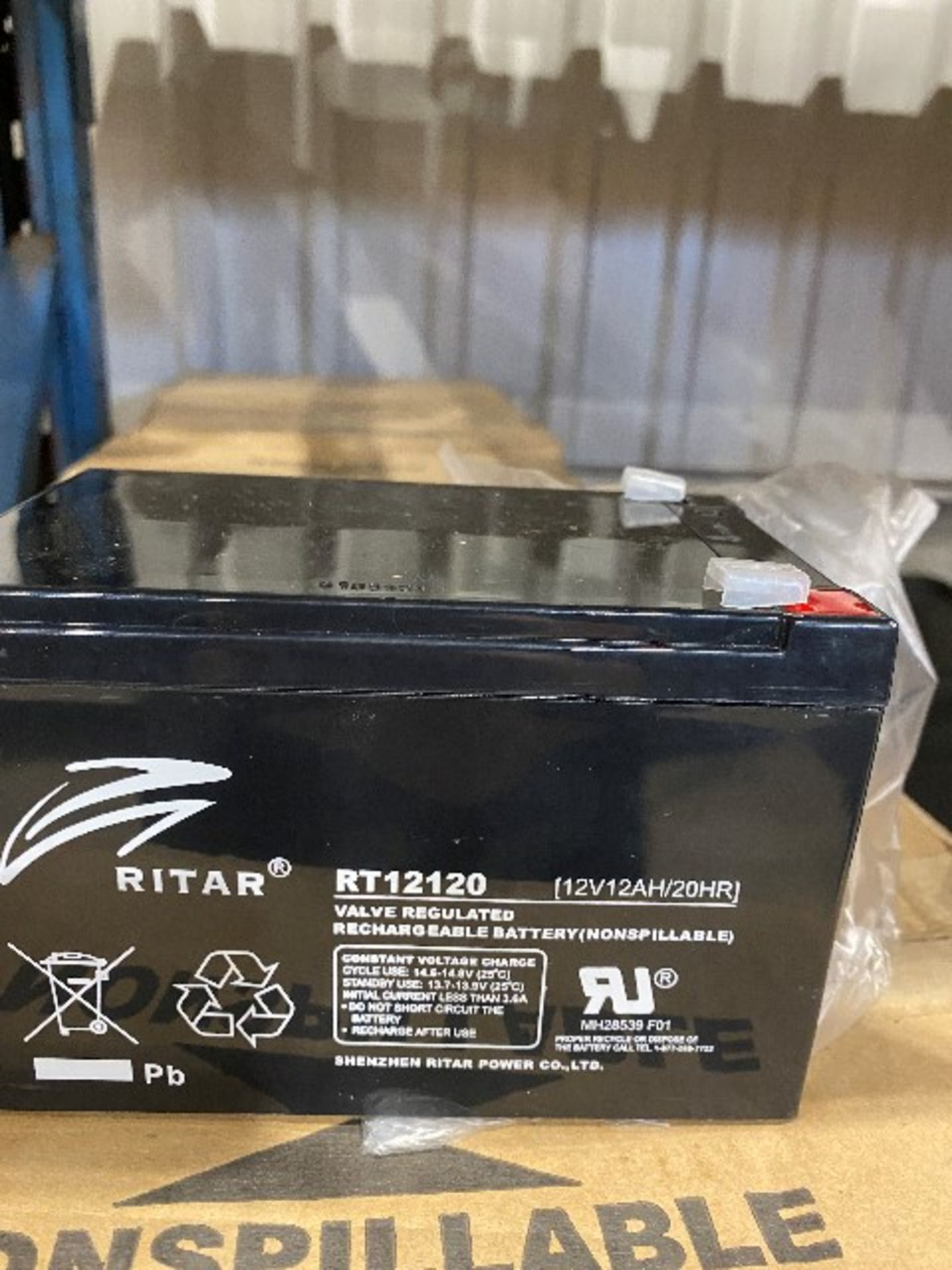 Ritar Power RT12120-F2 valve regulated rechargeable battery, 12V/24AH/20HR, 12pcs