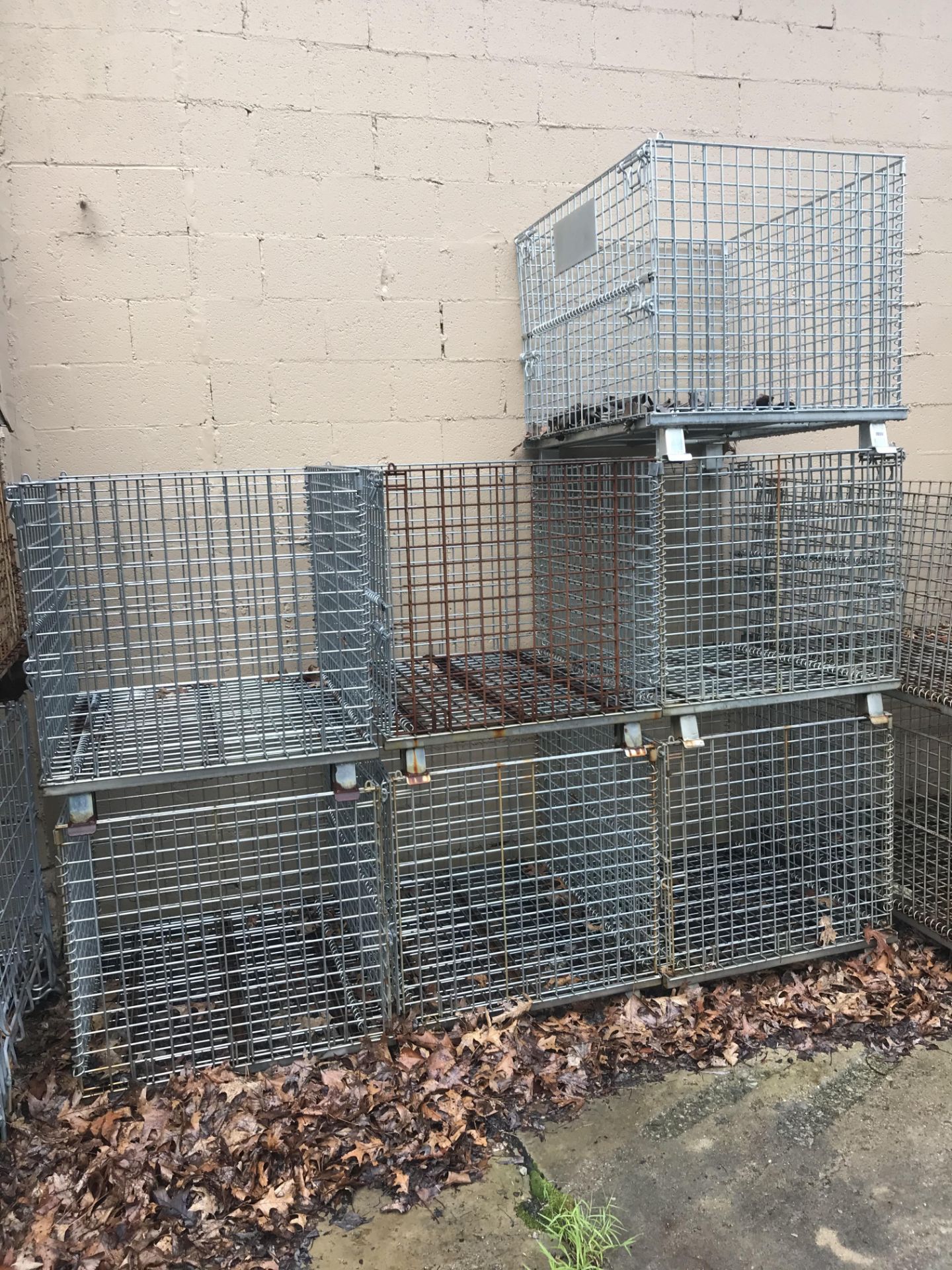 Lot of (29) Steel Wire Baskets - Image 3 of 6