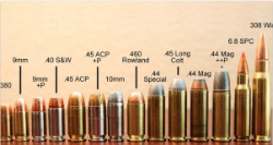 Ammunition Auction