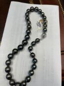 Tahitian Pearl Necklace