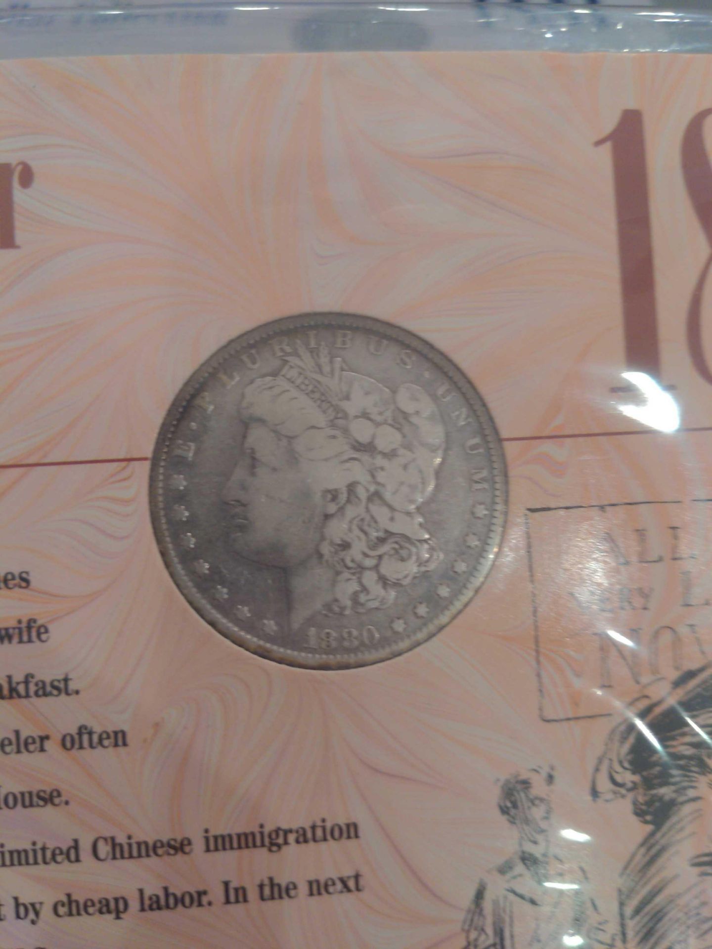 1880 and 1881 Morgan Dollar with historical facts sleeve - Image 3 of 6