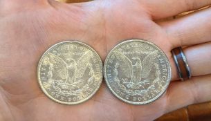 (2) 1889 Morgan Dollars