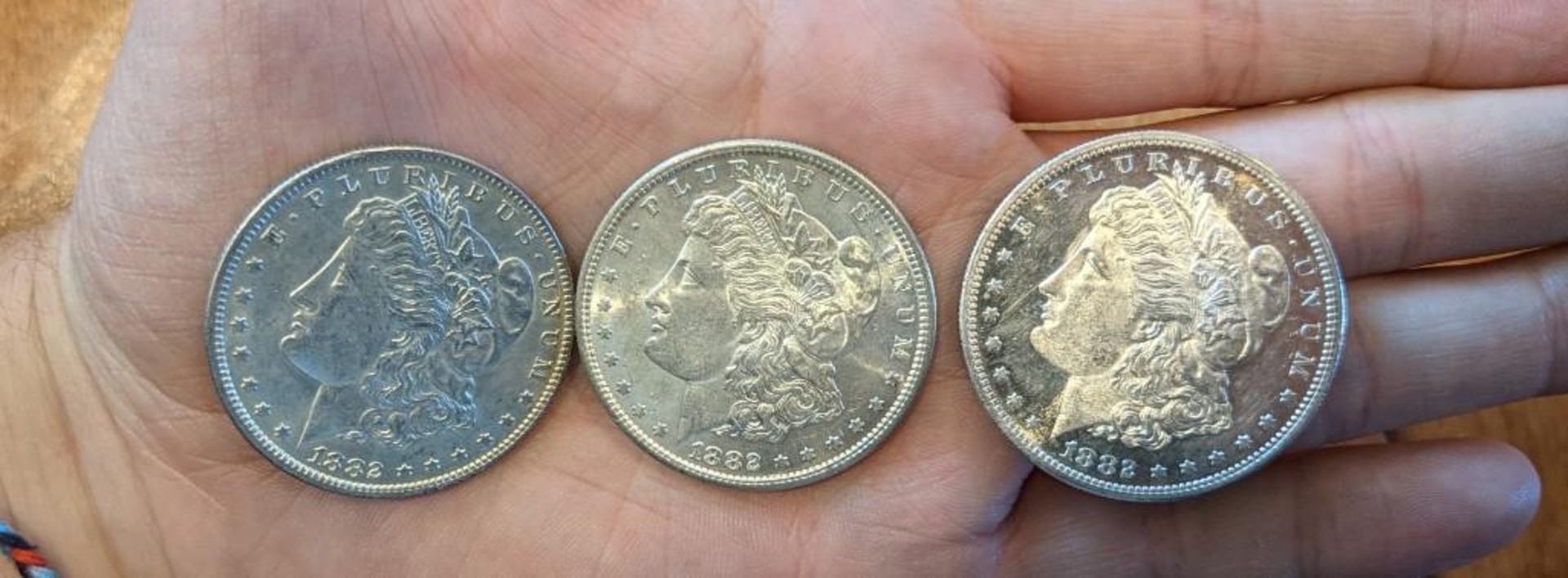 (3) 1882 Morgan Dollars