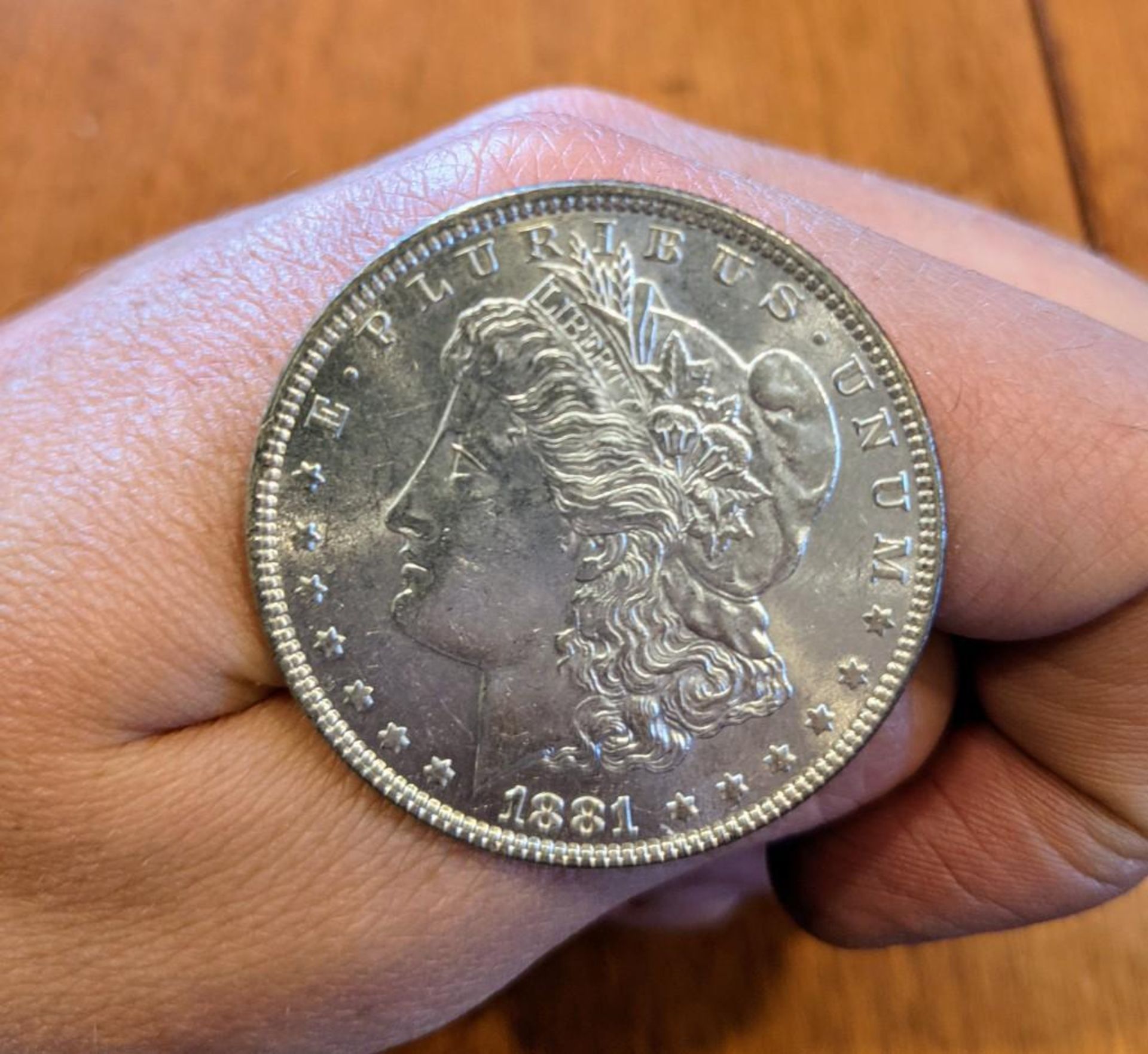 1881 Morgan Dollar