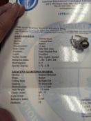 Tahitian Pearl & Diamond Ring 18kt- 70 diamonds in white gold ring