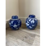 Pair Ginger jars with twin circle mark to the base