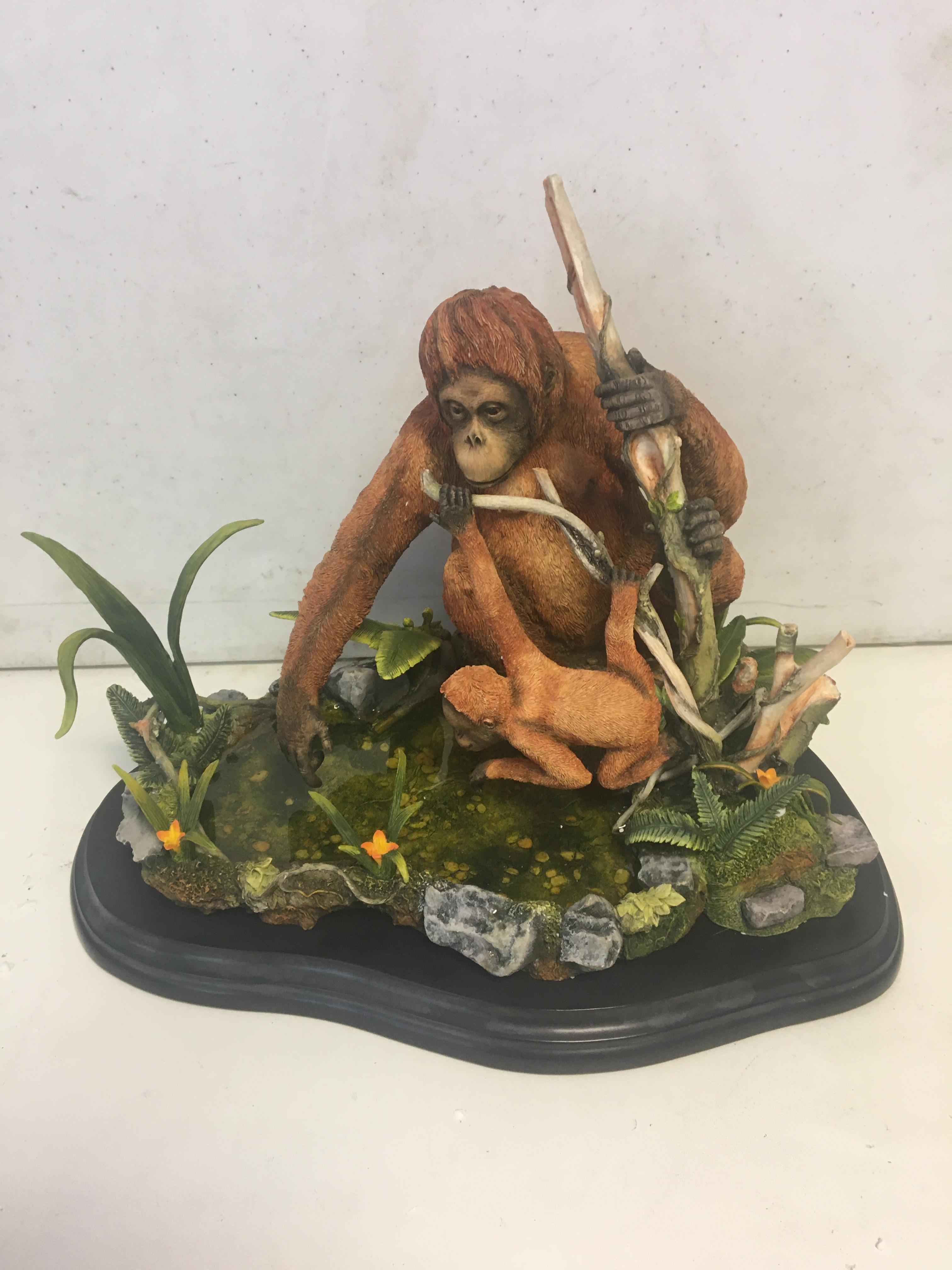 Country Artists Orangutan model A/F 31 cm x 28 cm