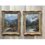 Pair of oil of landscapes signed Falconer