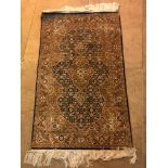 Persian style rug