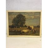 19th c oil on canvas cattle scene, 43 cm x 60cm.
