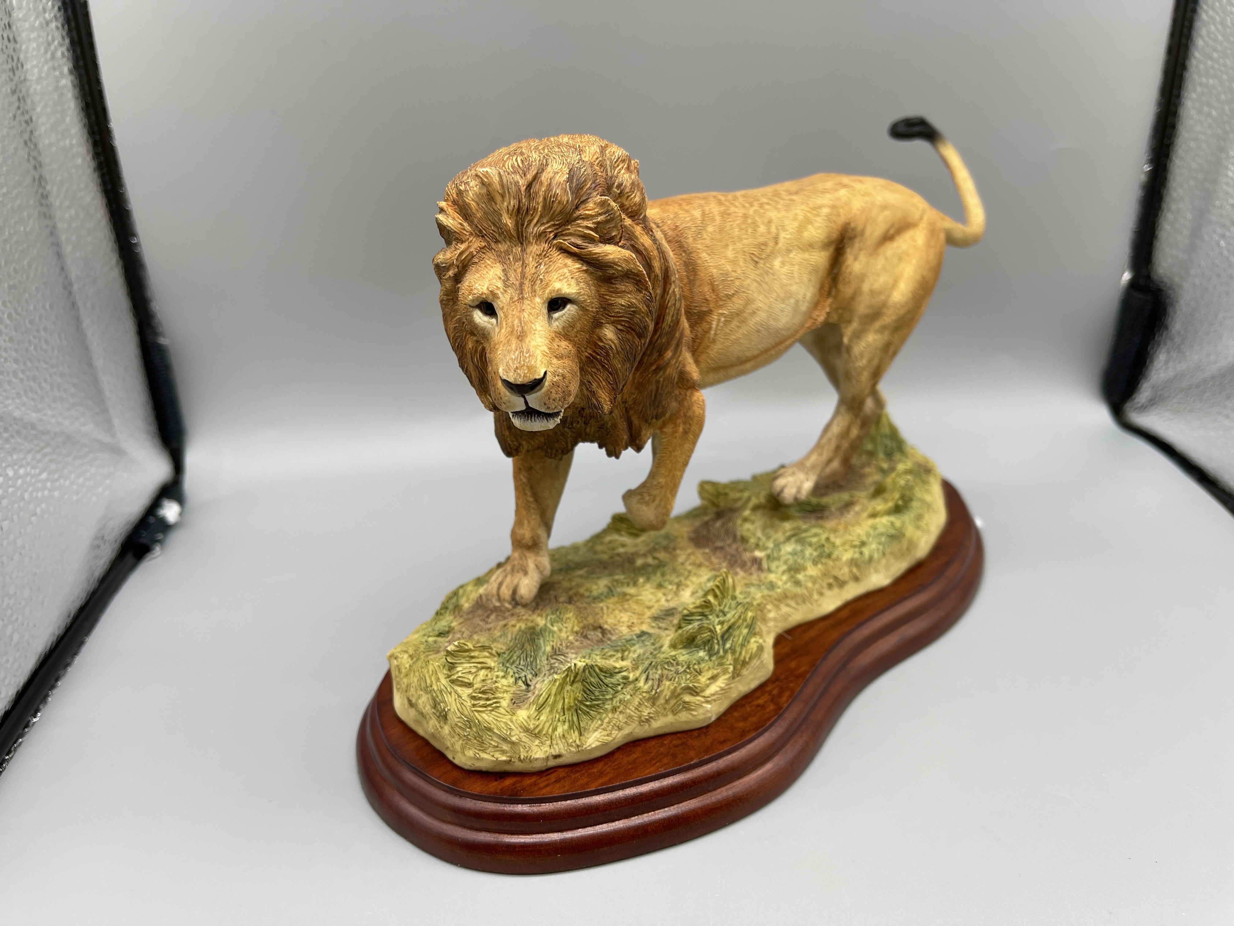 Border Fine Art Boxed A5047 Lion 2005 - Image 2 of 8