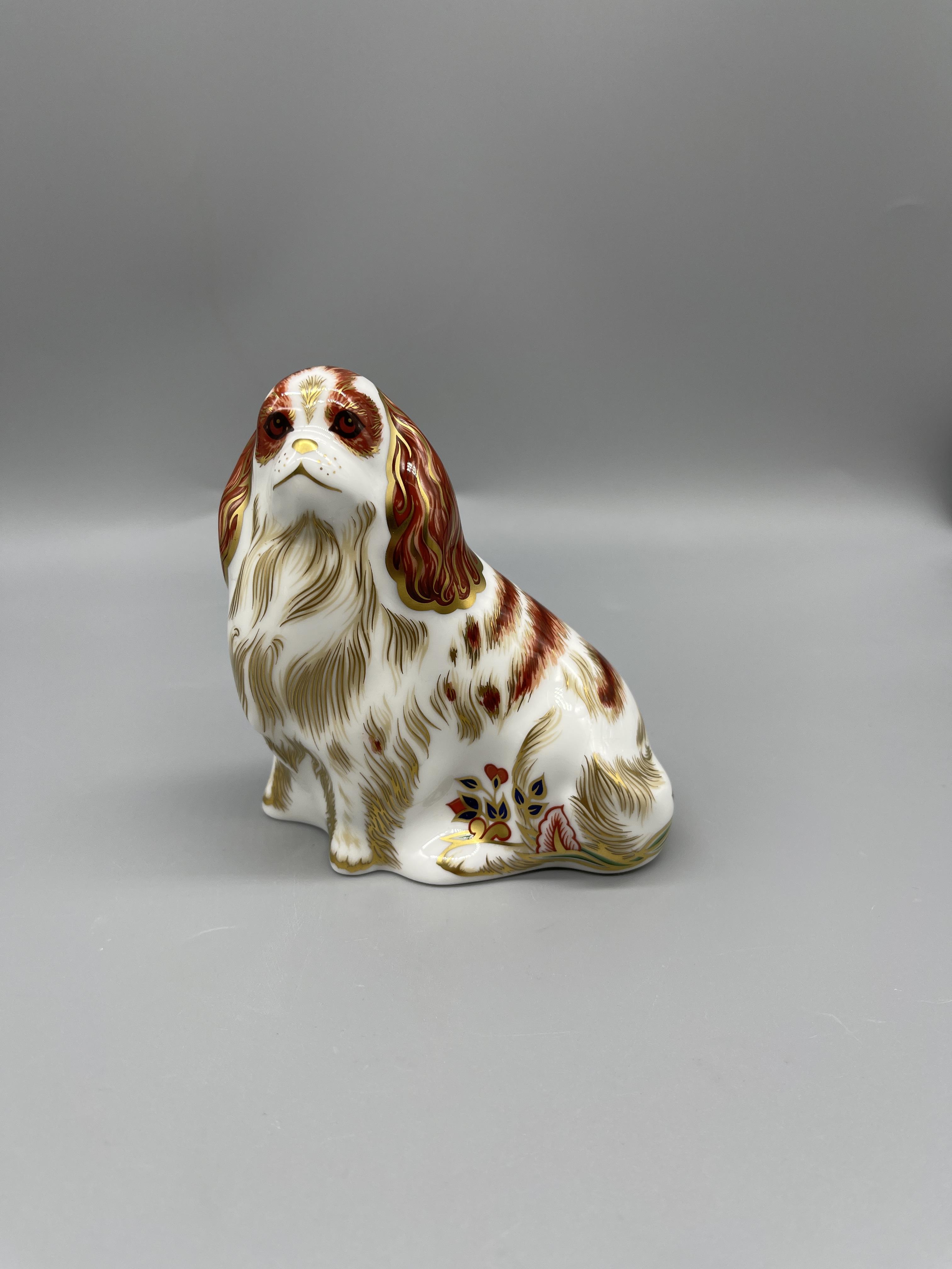 Royal Crown Derby - Donkey Foal Cavalier King Charles Spaniel 20 - Image 2 of 12