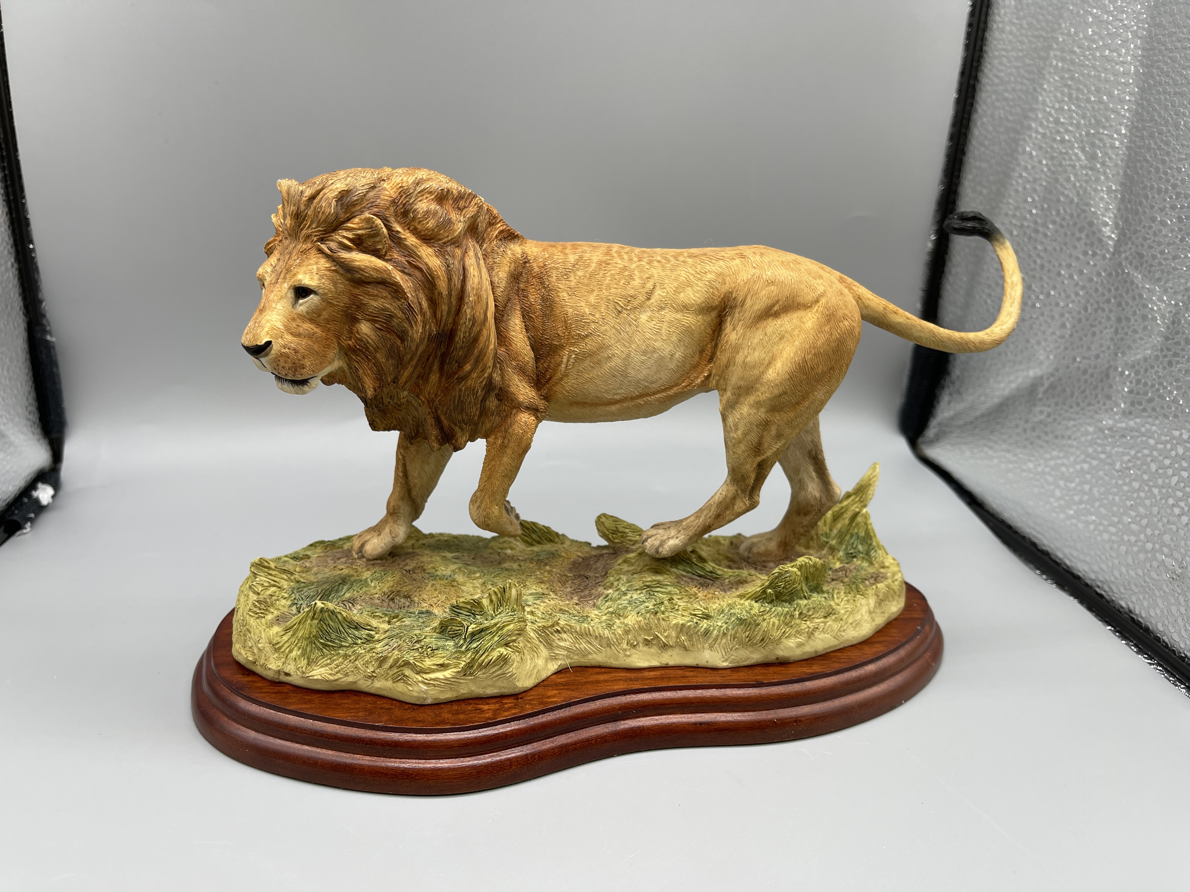 Border Fine Art Boxed A5047 Lion 2005 - Image 6 of 8