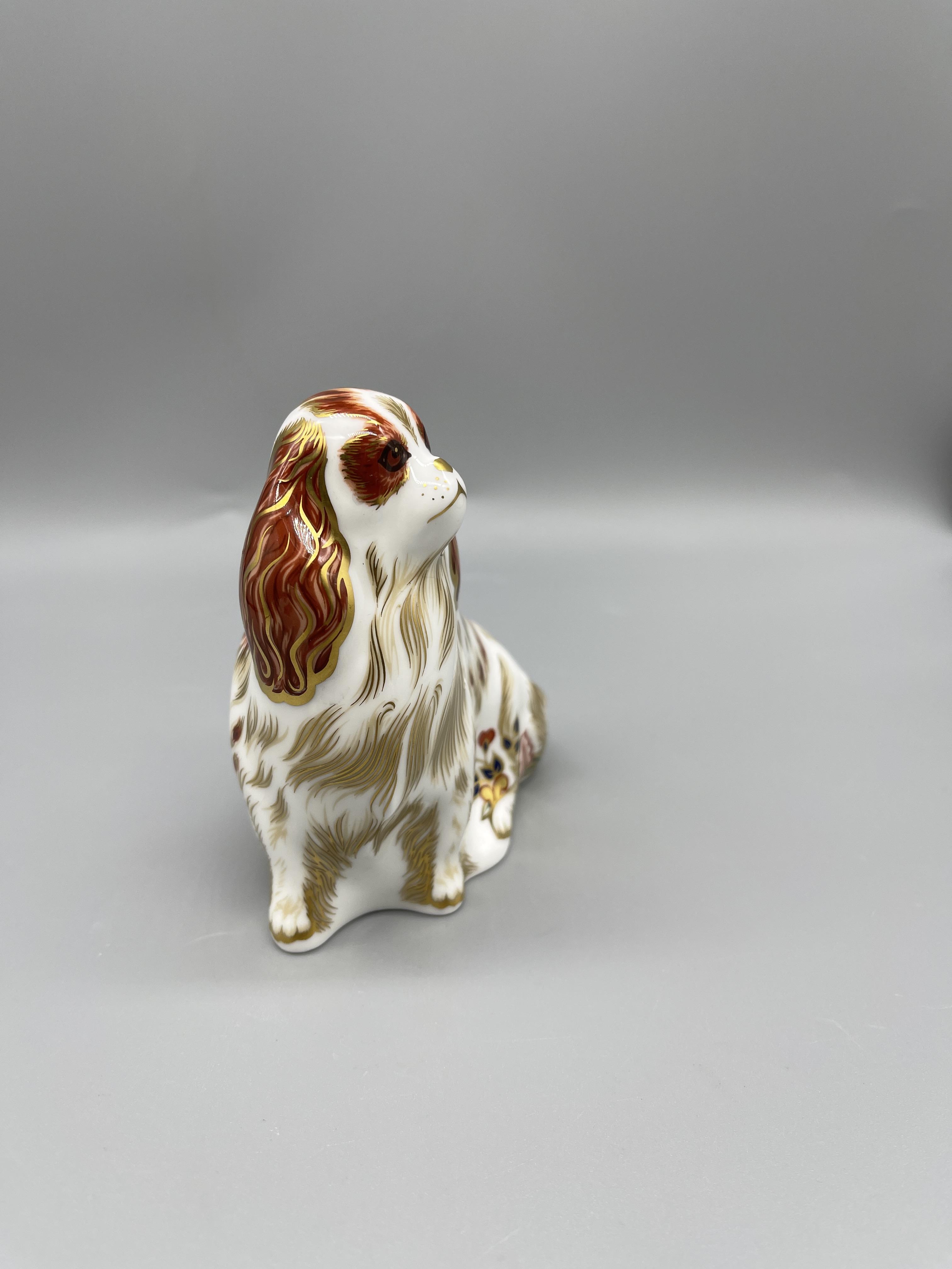 Royal Crown Derby - Donkey Foal Cavalier King Charles Spaniel 20 - Image 3 of 12