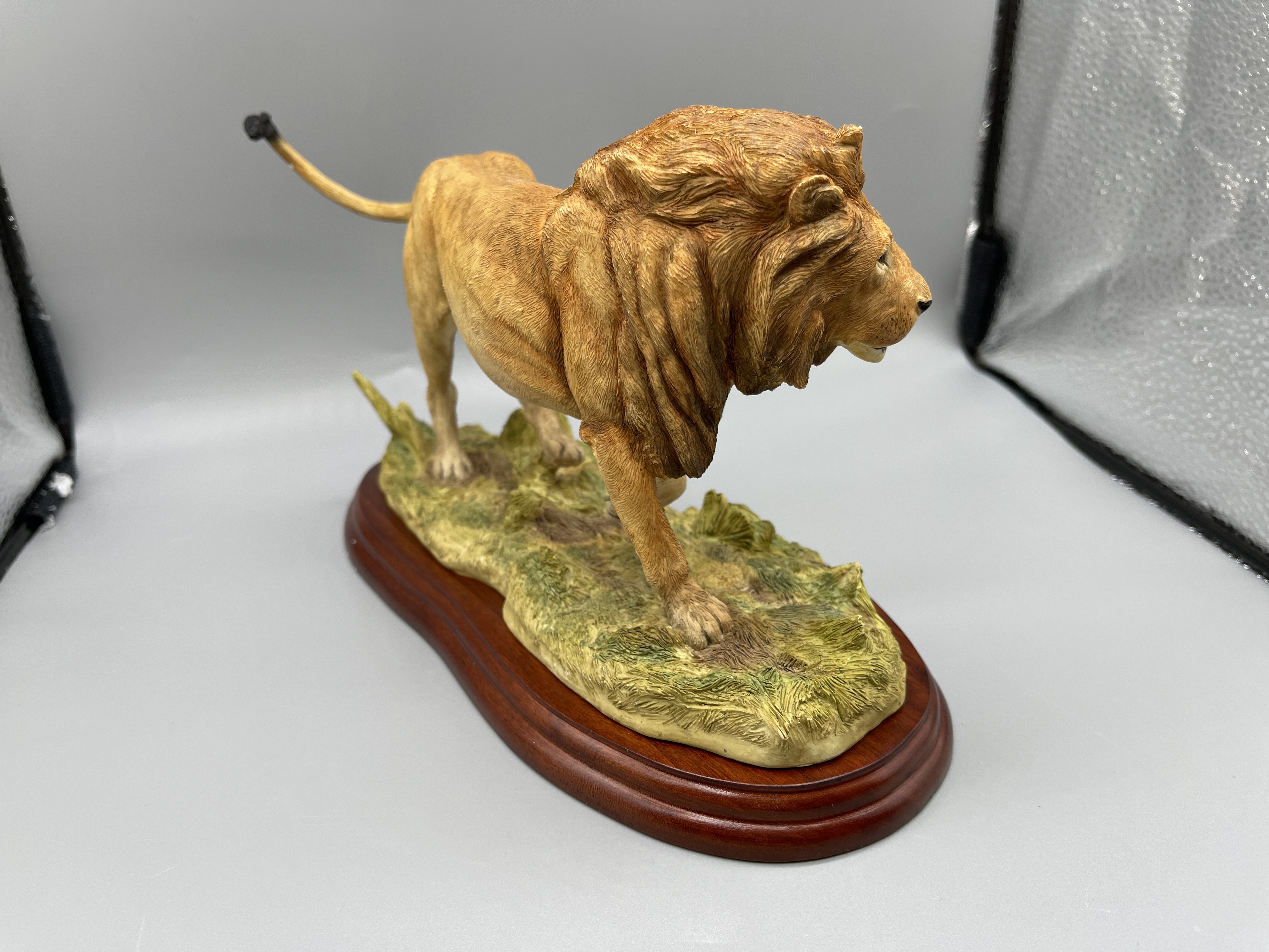 Border Fine Art Boxed A5047 Lion 2005 - Image 3 of 8