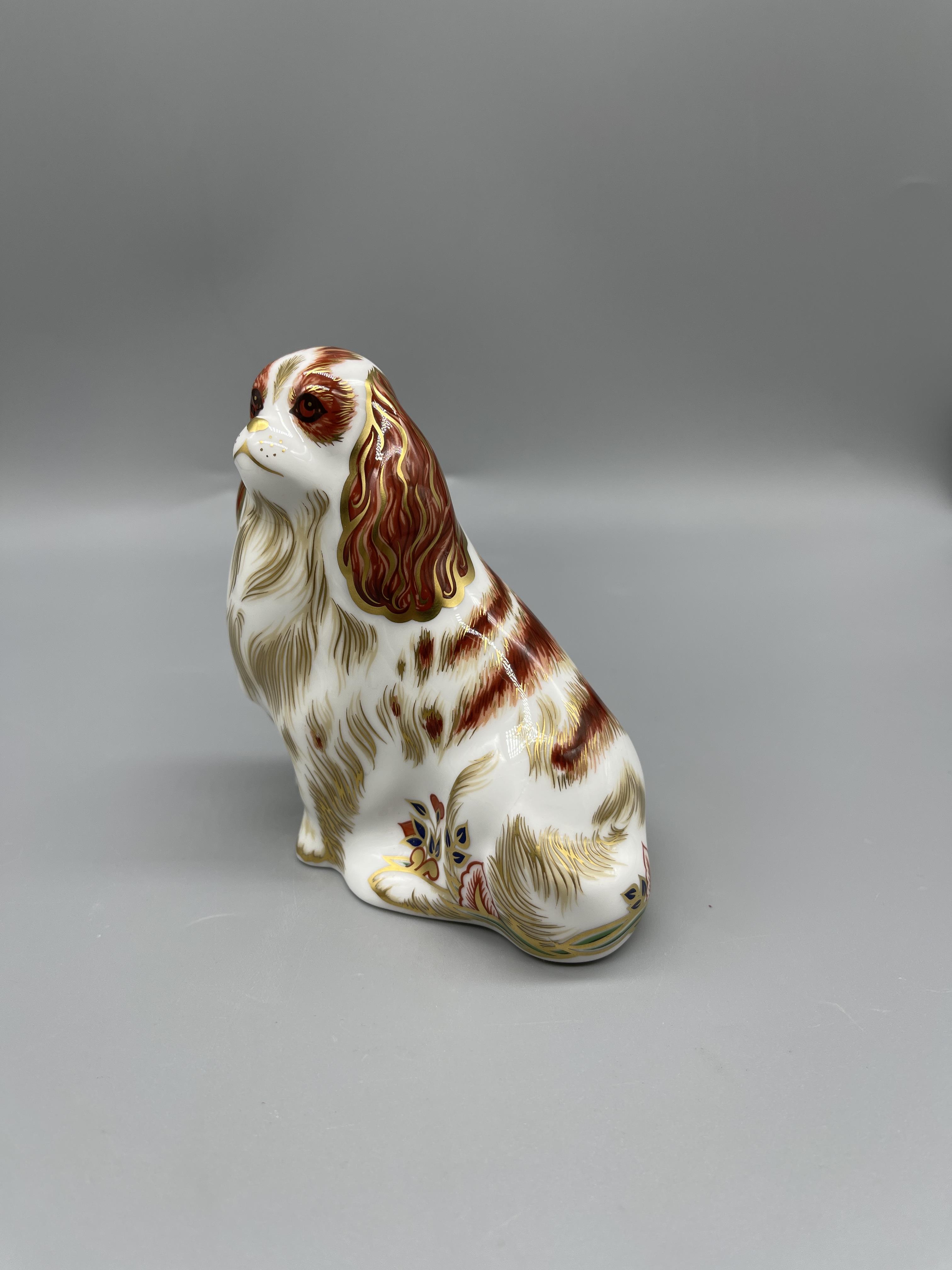 Royal Crown Derby - Donkey Foal Cavalier King Charles Spaniel 20 - Image 5 of 12