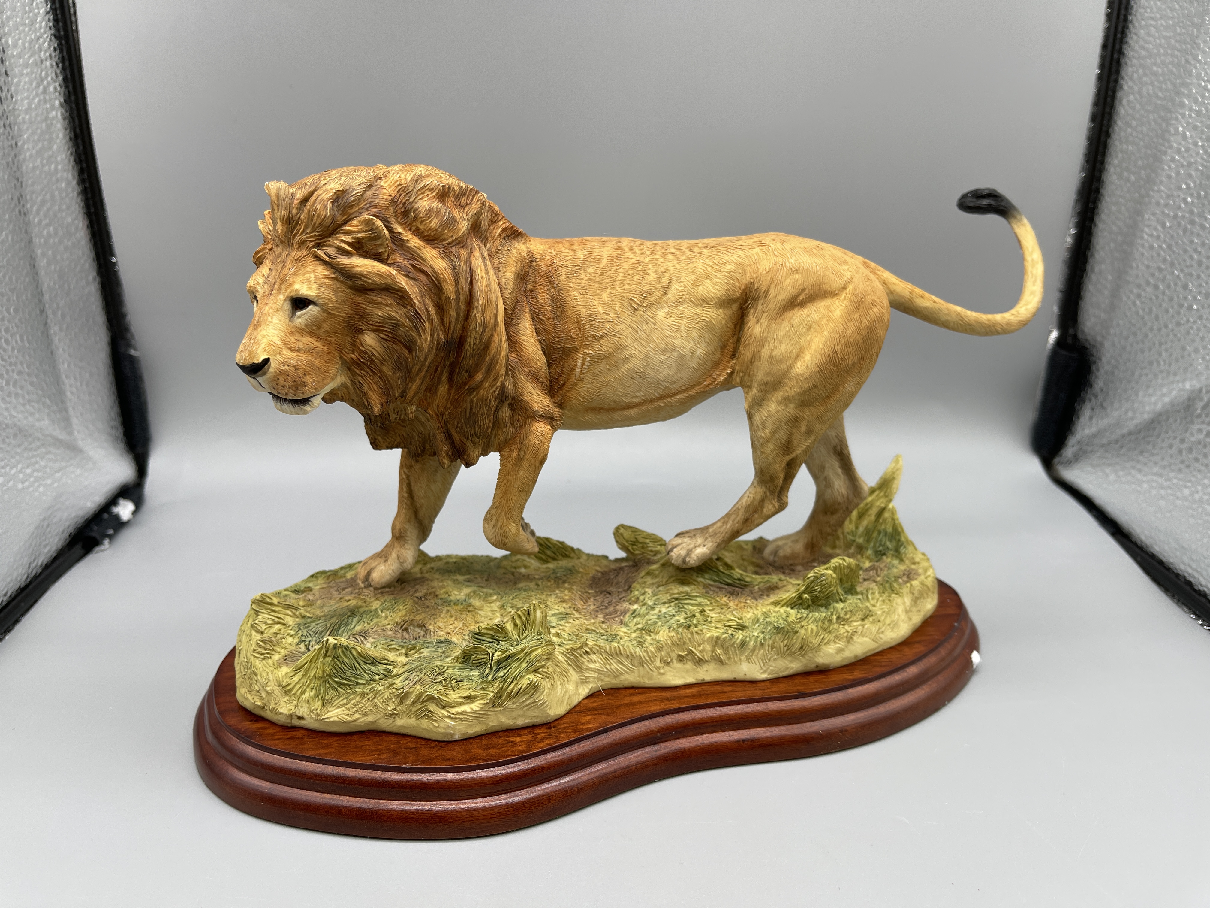 Border Fine Art Boxed A5047 Lion 2005