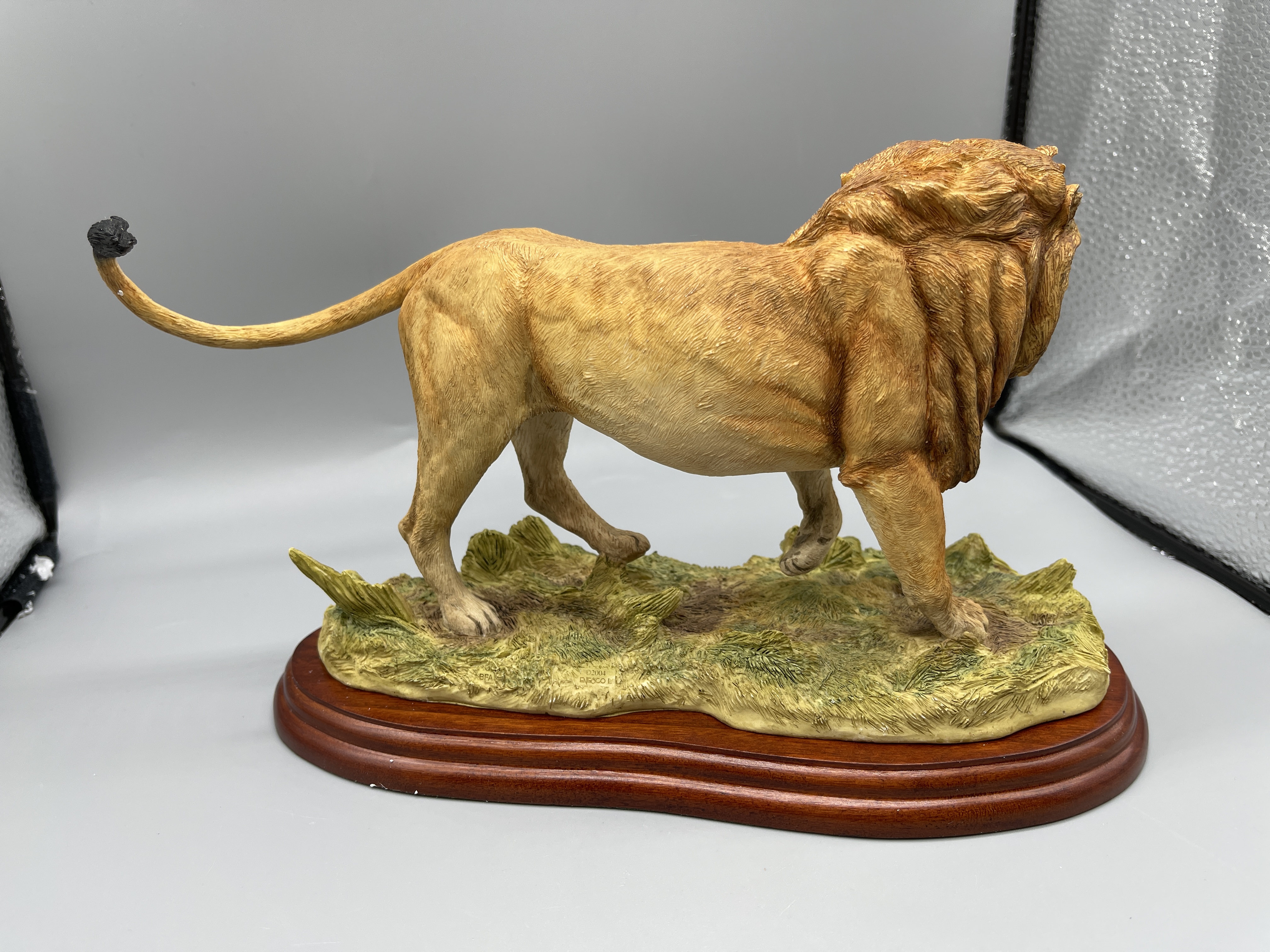 Border Fine Art Boxed A5047 Lion 2005 - Image 4 of 8