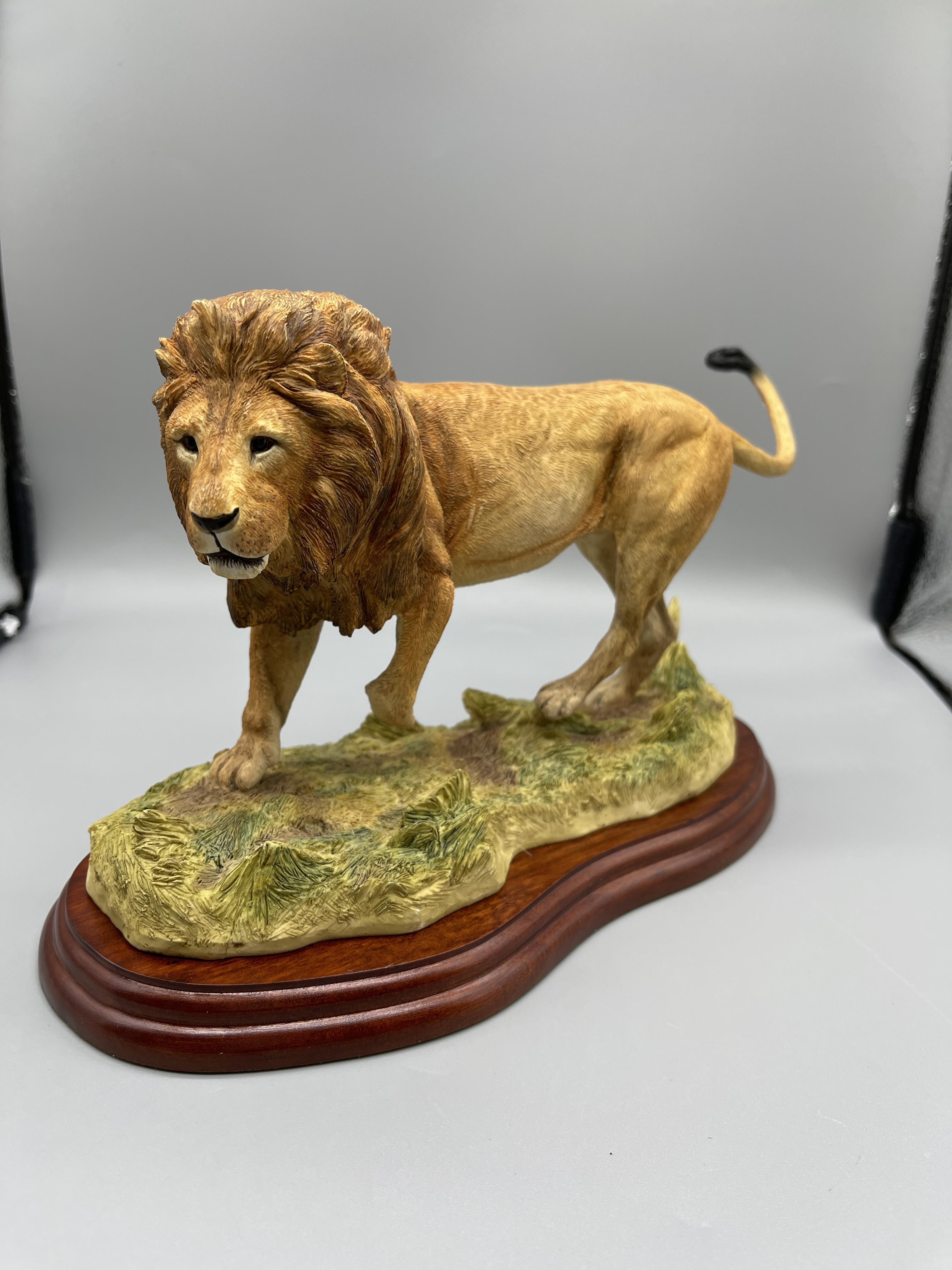 Border Fine Art Boxed A5047 Lion 2005 - Image 8 of 8