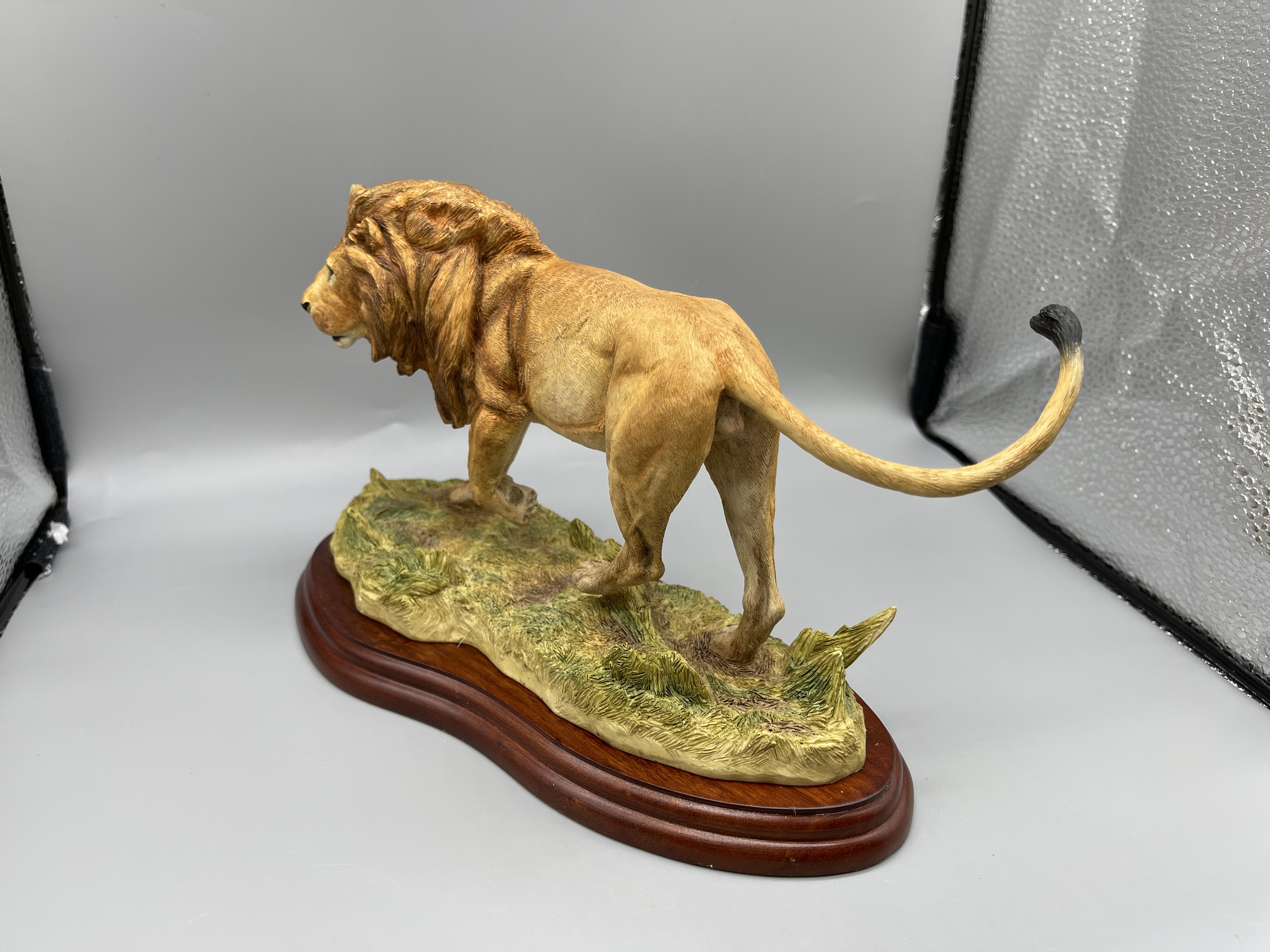 Border Fine Art Boxed A5047 Lion 2005 - Image 5 of 8