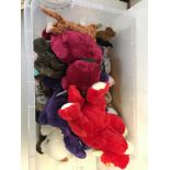 Box of TY beanie and buddie bears, all clean with