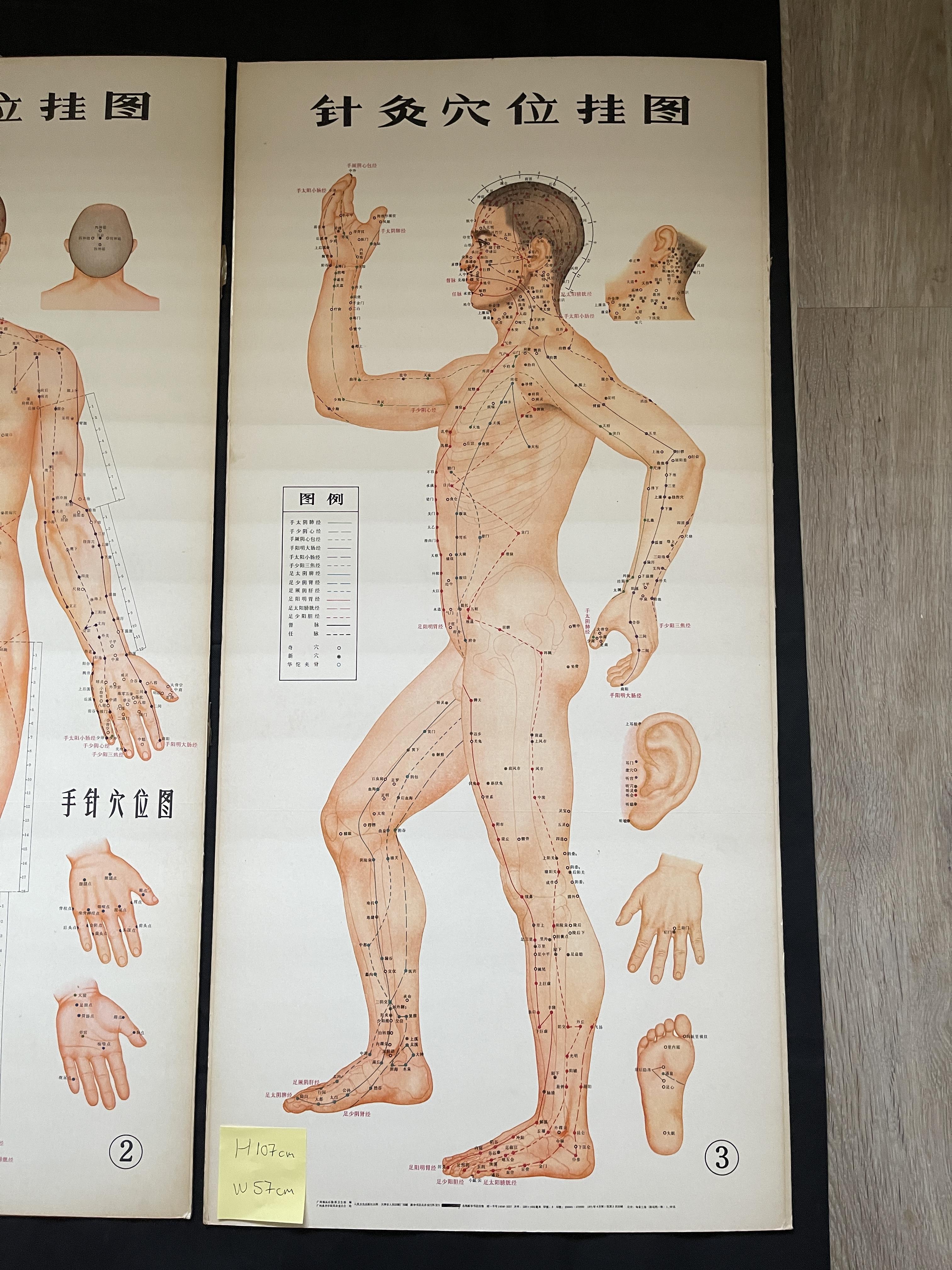 Three Chinese acupuncture posters, H 107 cm x W57c - Image 4 of 6