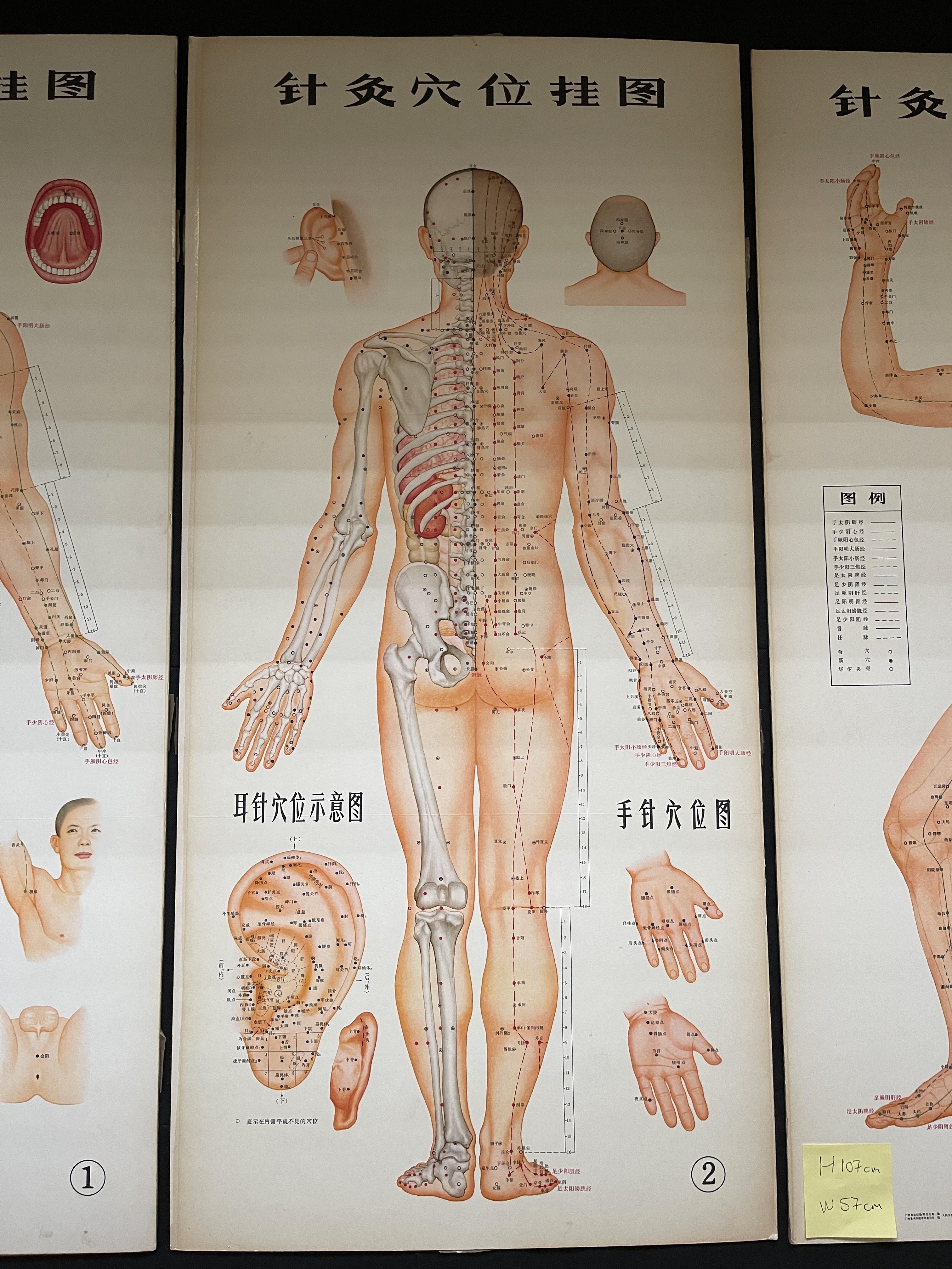 Three Chinese acupuncture posters, H 107 cm x W57c - Image 3 of 6