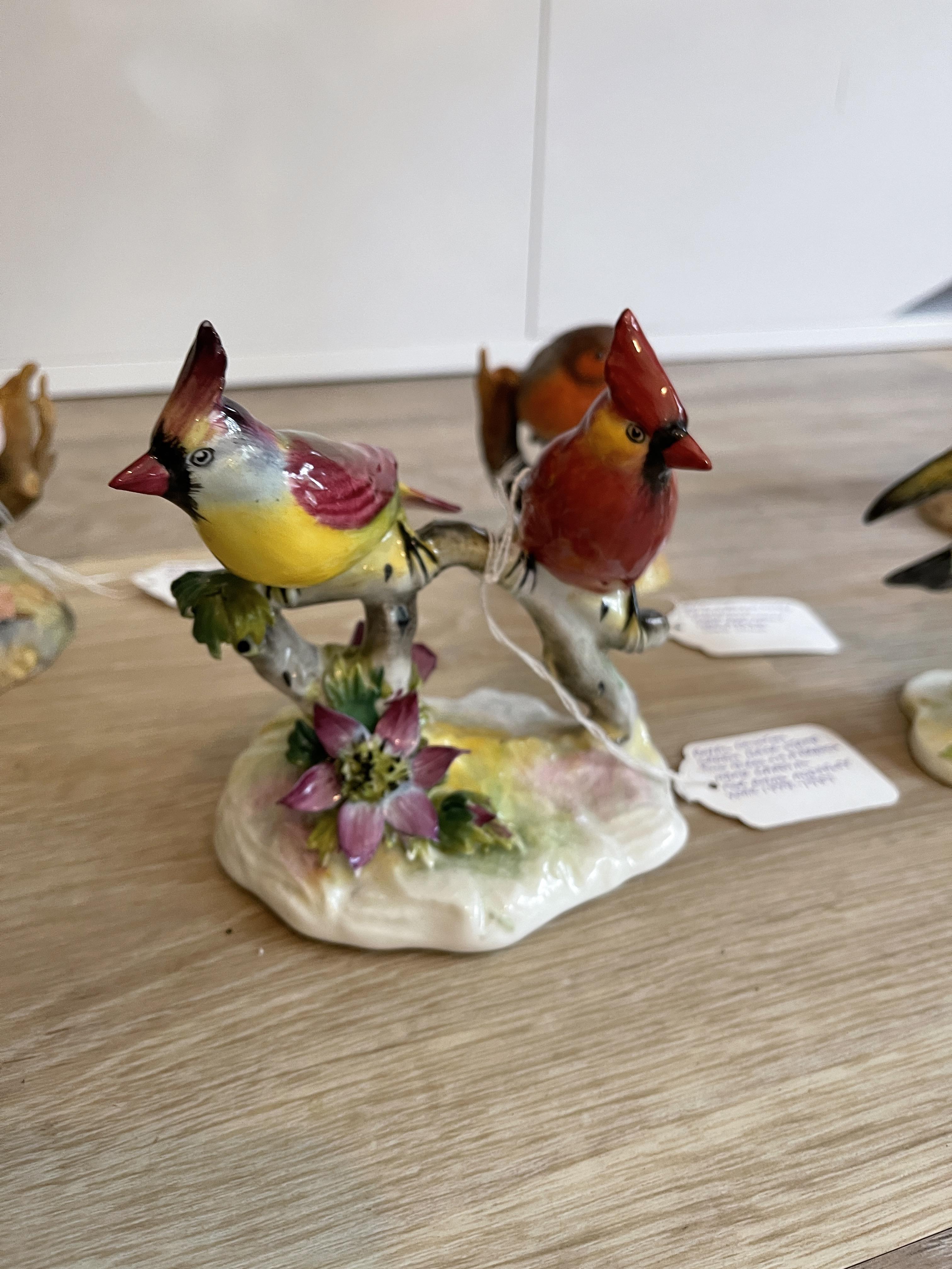 Eight Royal Crown Darby and Royal Doulton Bird Fig - Image 16 of 19
