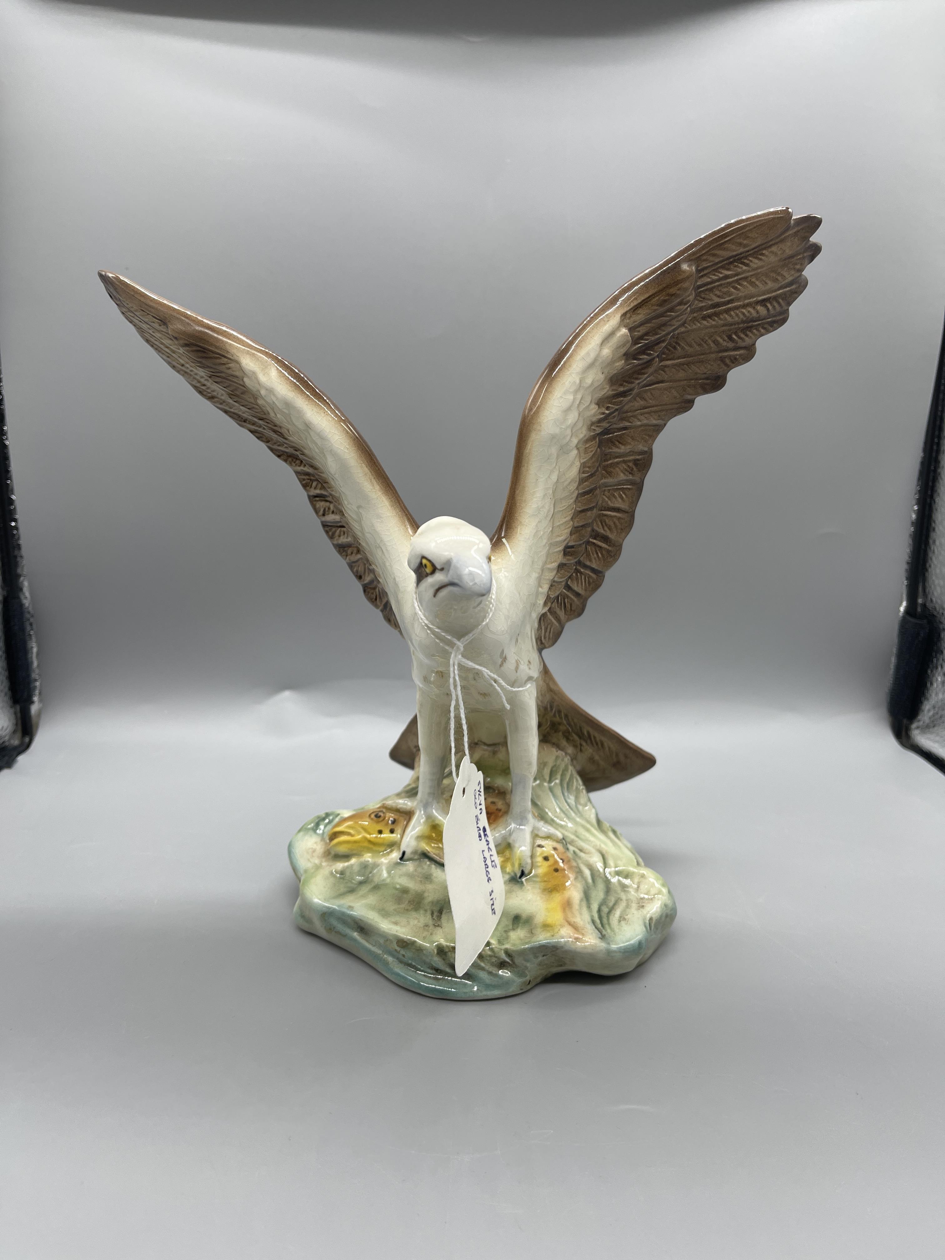 Sylvia Eagle and Beswick Woodpecker Great Conditio - Image 2 of 12