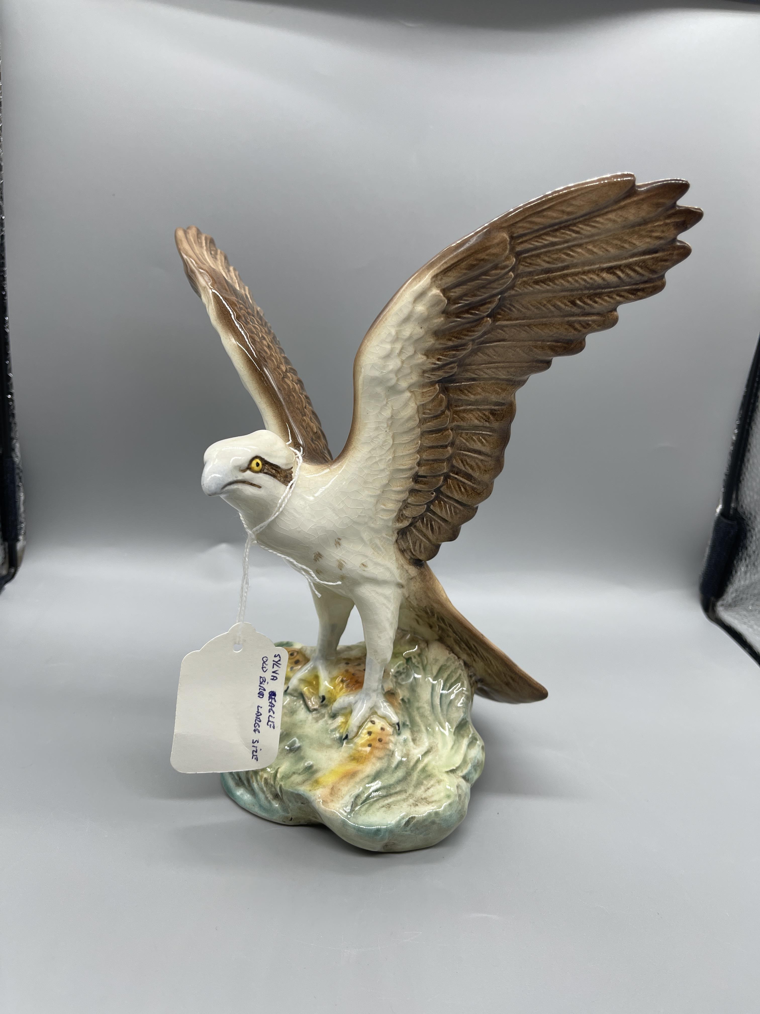 Sylvia Eagle and Beswick Woodpecker Great Conditio - Image 3 of 12