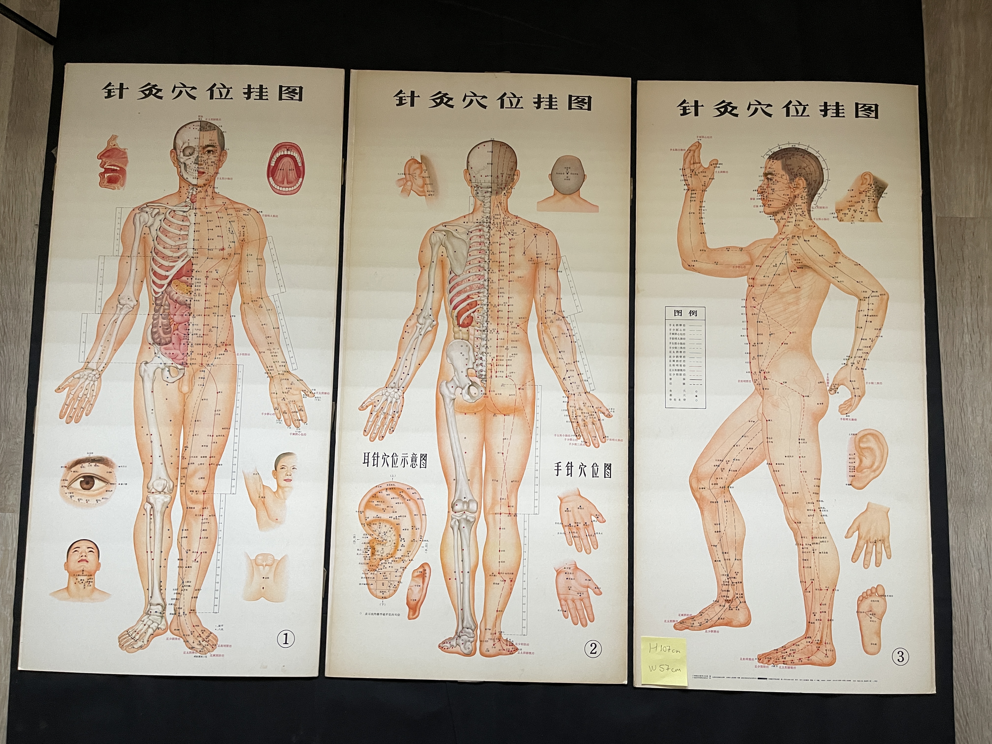 Three Chinese acupuncture posters, H 107 cm x W57c