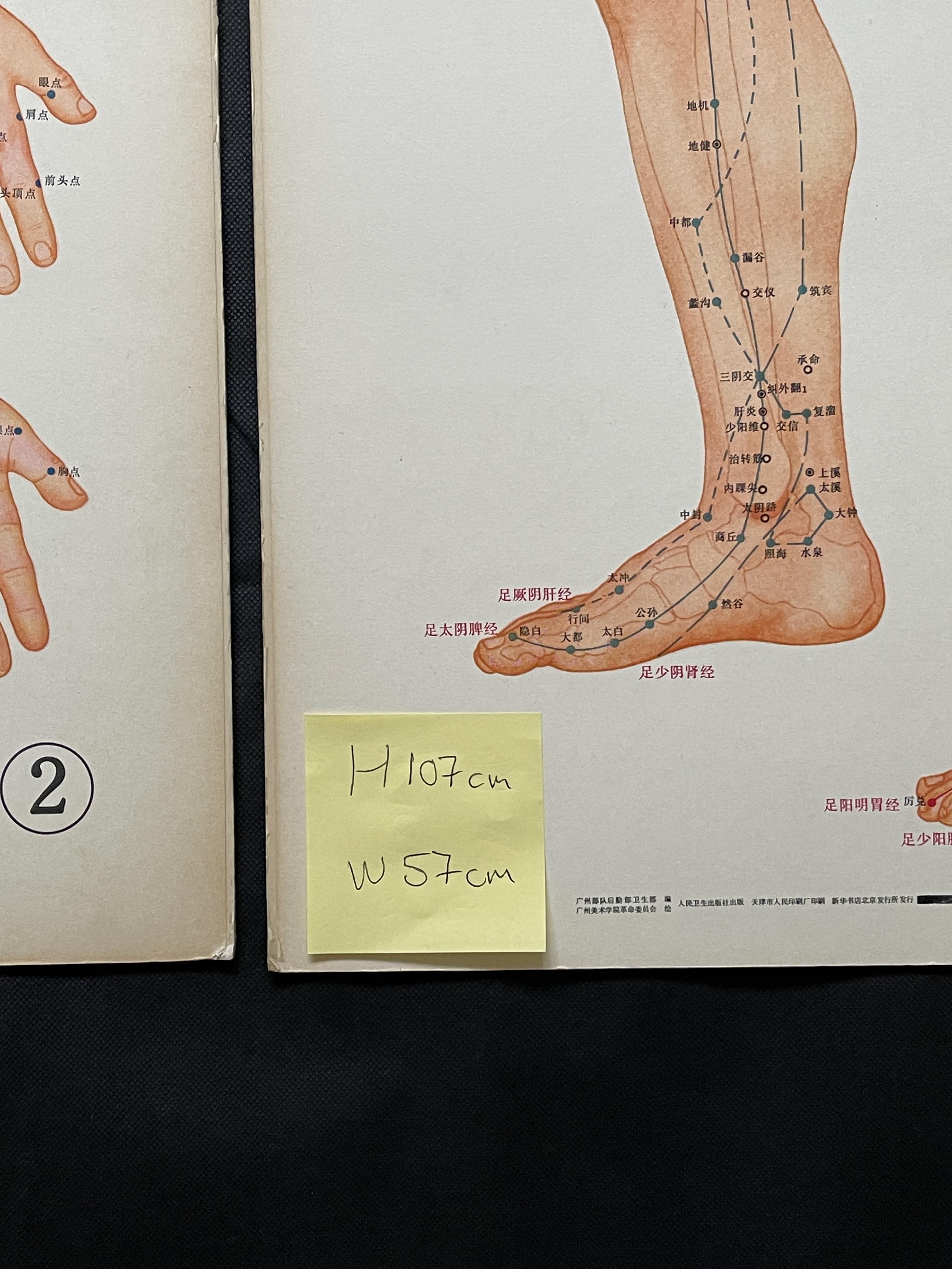 Three Chinese acupuncture posters, H 107 cm x W57c - Image 5 of 6