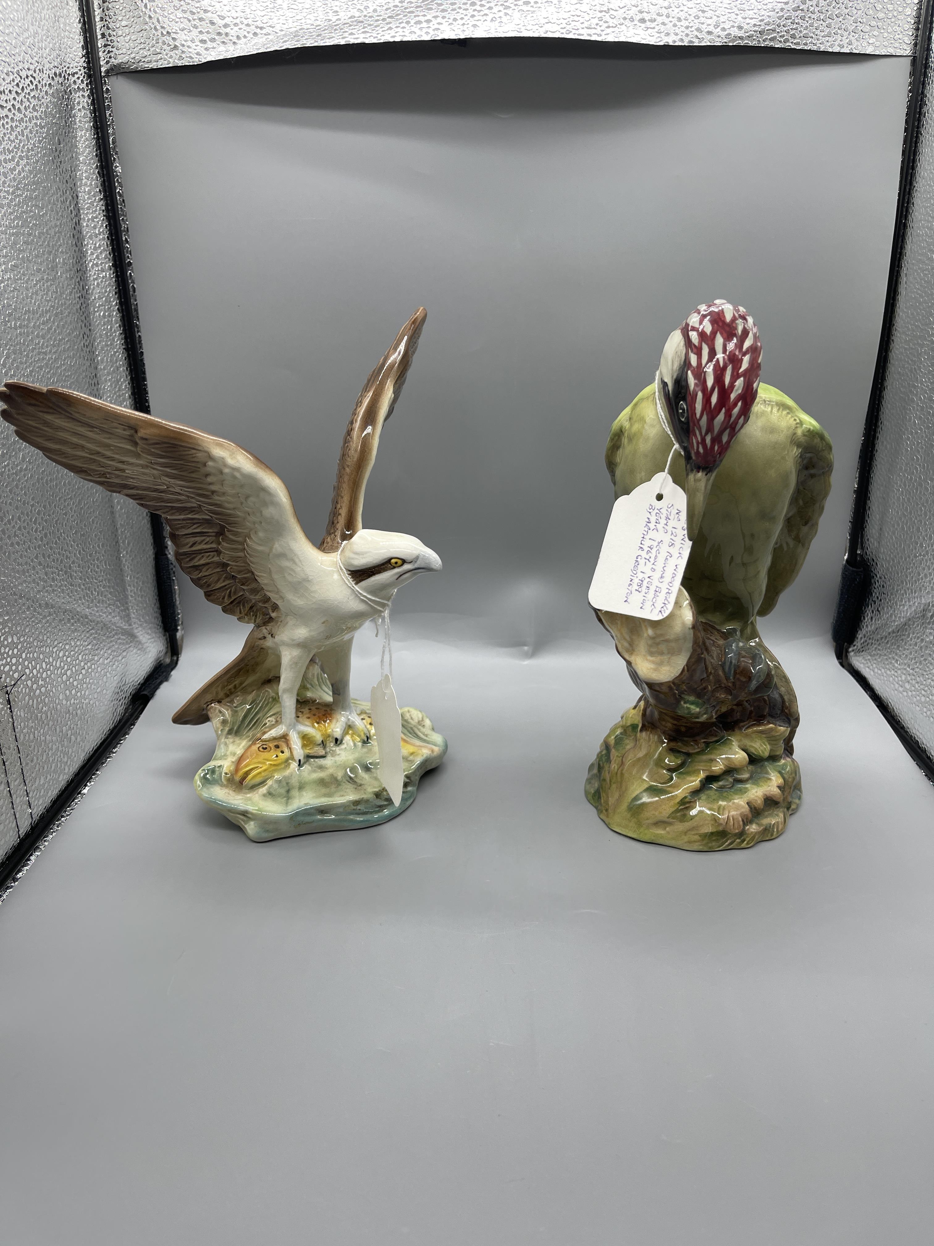 Sylvia Eagle and Beswick Woodpecker Great Conditio