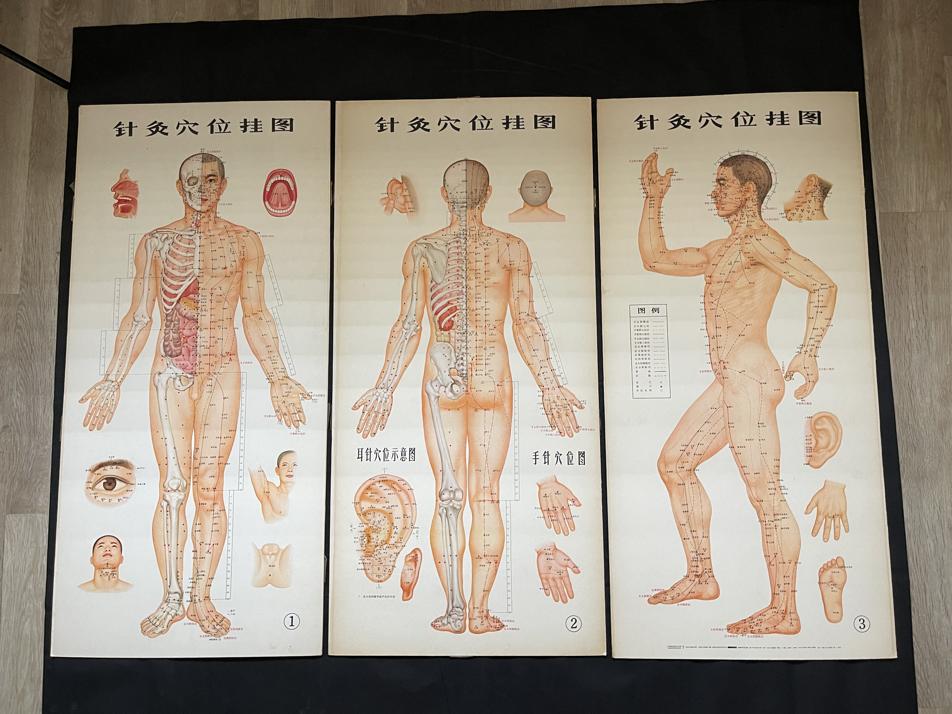 Three Chinese acupuncture posters, H 107 cm x W57c - Image 6 of 6