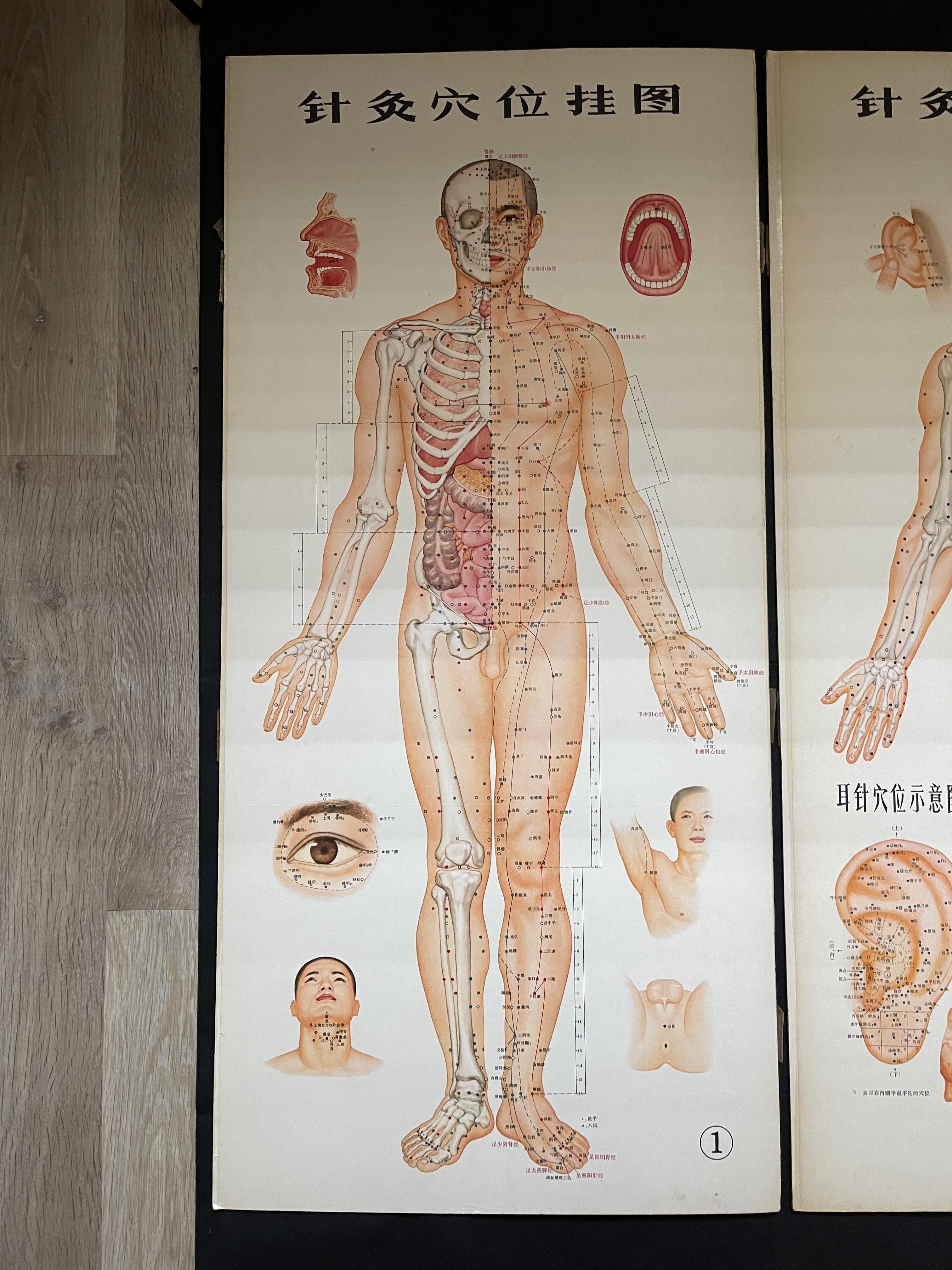 Three Chinese acupuncture posters, H 107 cm x W57c - Image 2 of 6