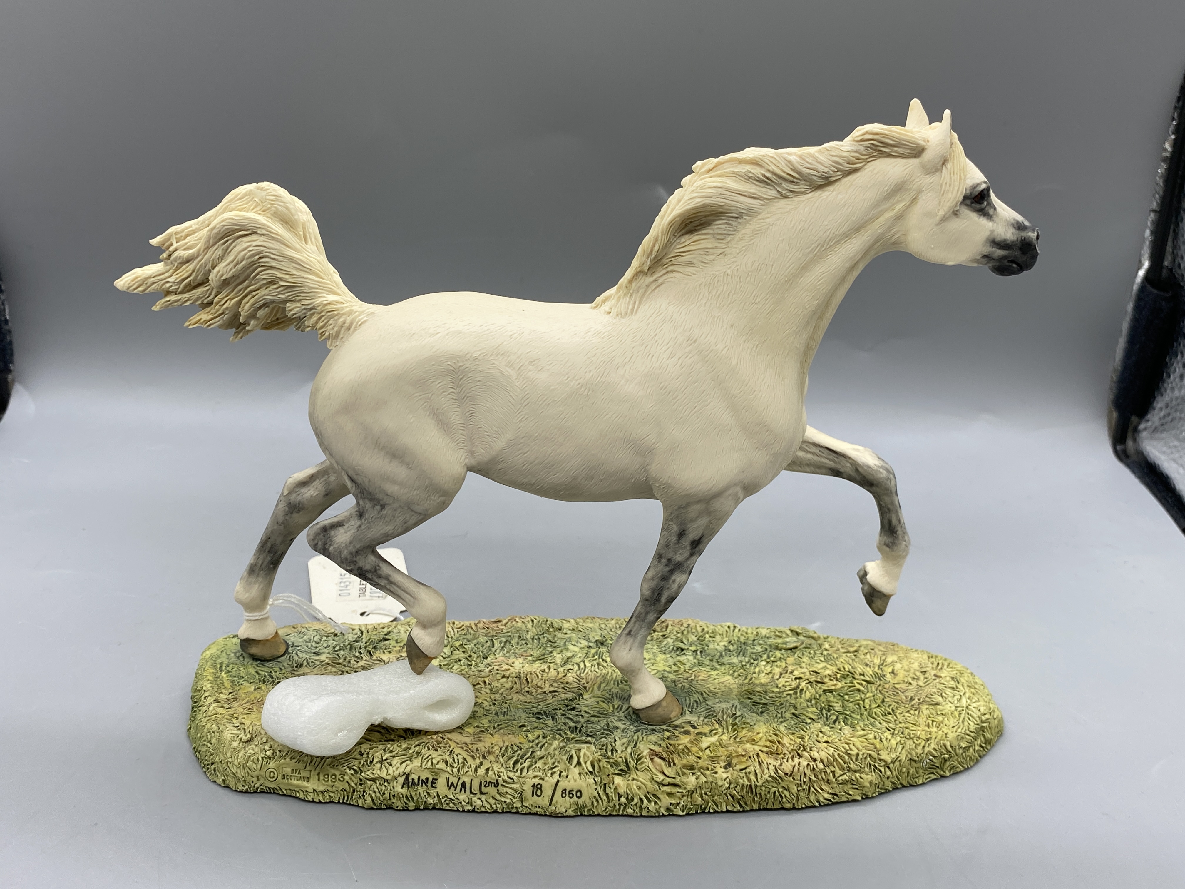 Border Fine Arts Limited Edition Arab Stallion L13 - Image 6 of 8