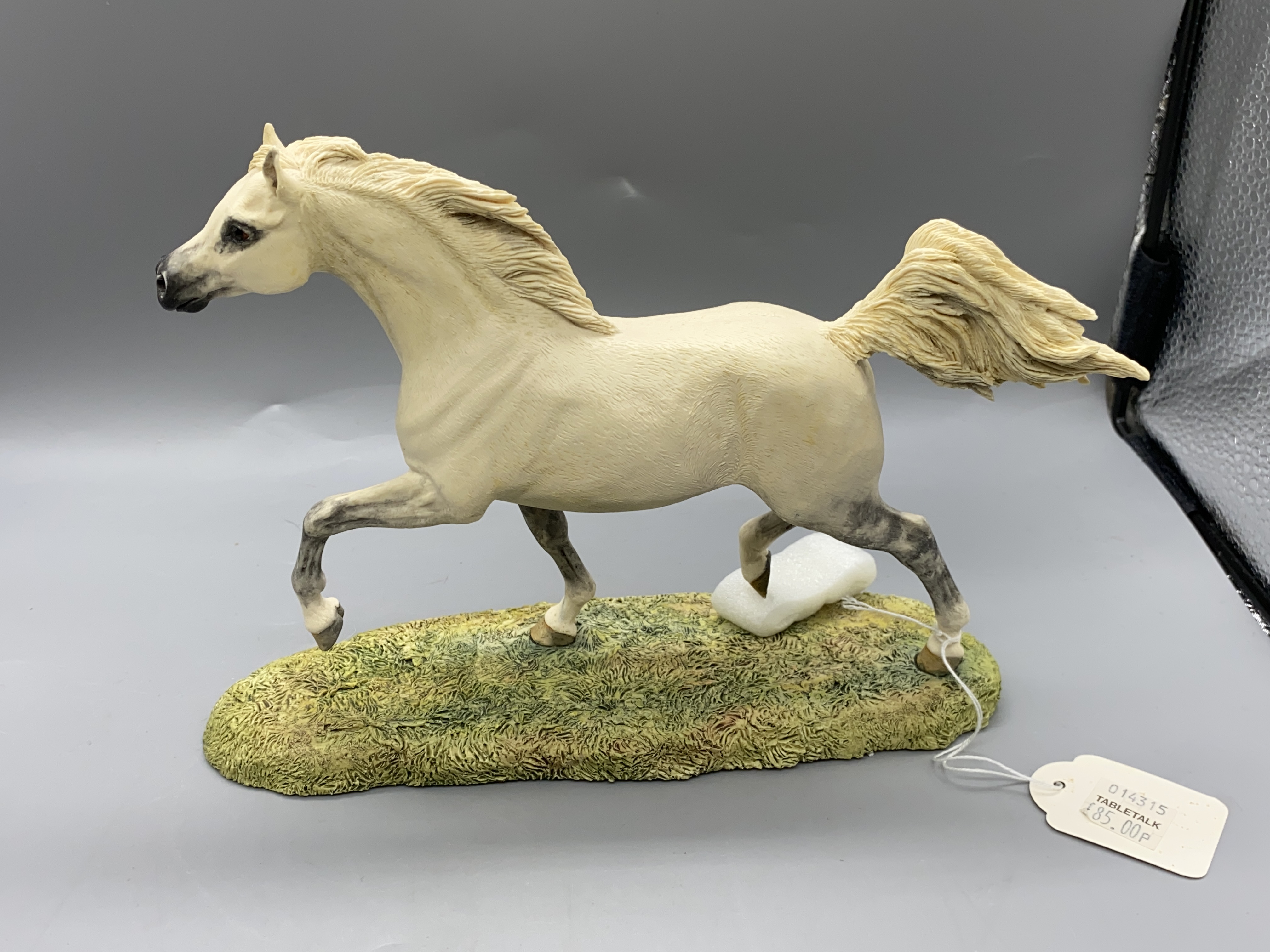 Border Fine Arts Limited Edition Arab Stallion L13 - Image 5 of 8