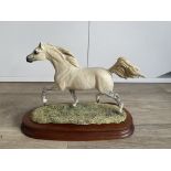 Border Fine Arts Limited Edition Arab Stallion L13