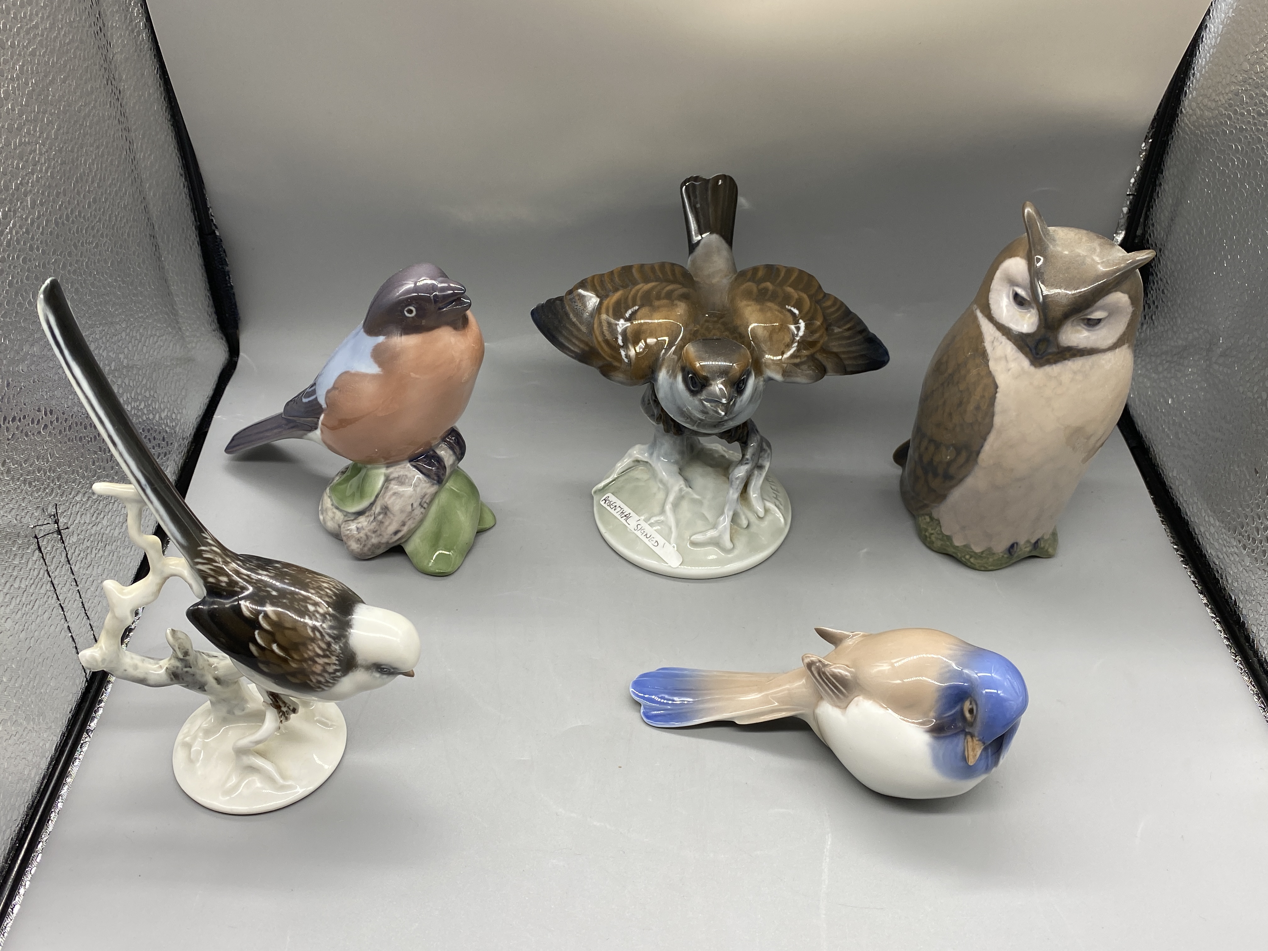 Five Bird Figures to include Rosenthal, Royal Cope - Image 2 of 14