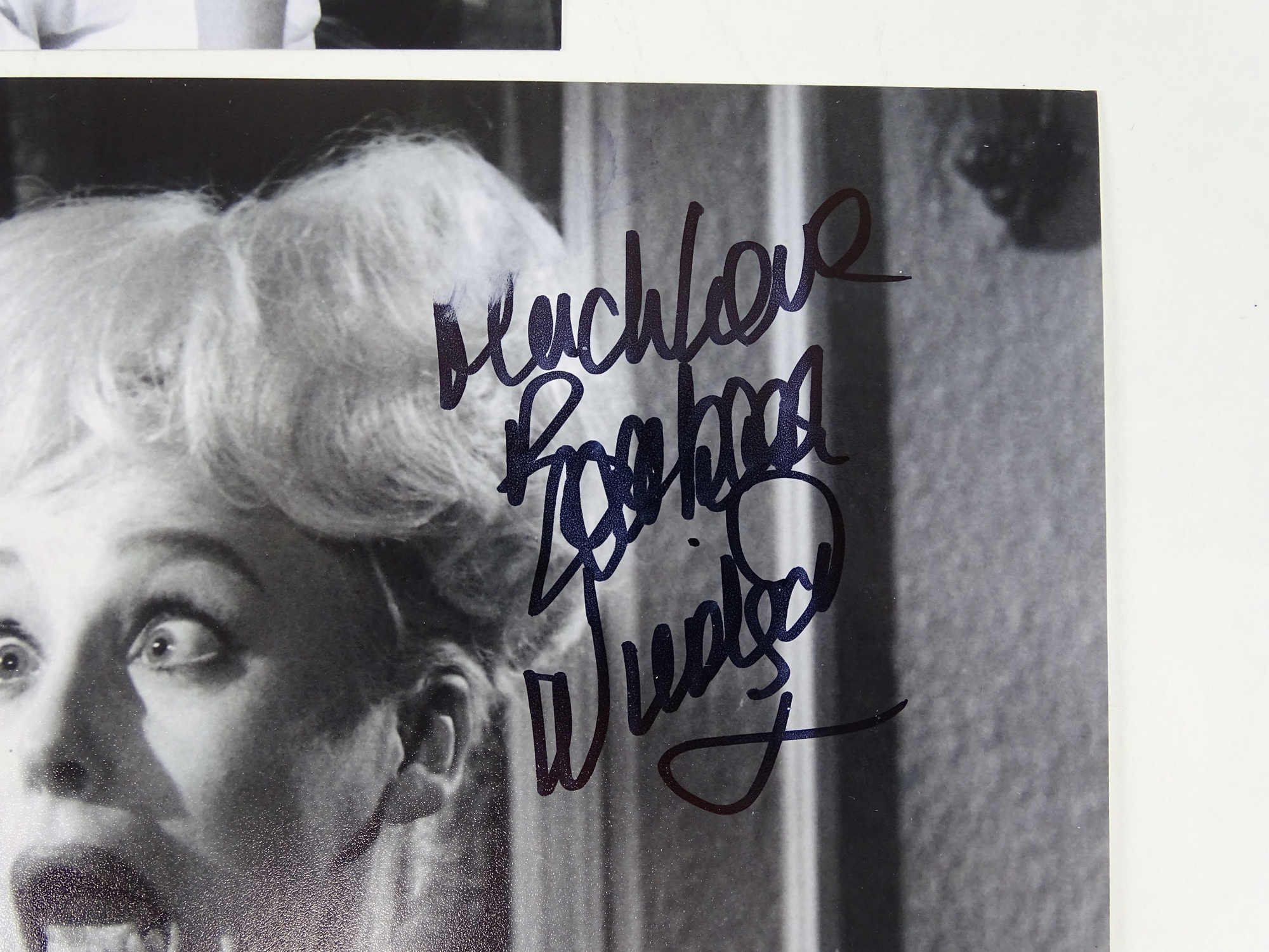 CARRY ON - A group of three signed BARBARA WINDSOR 10x8 photographs (one colour, two black/white) - Image 4 of 4