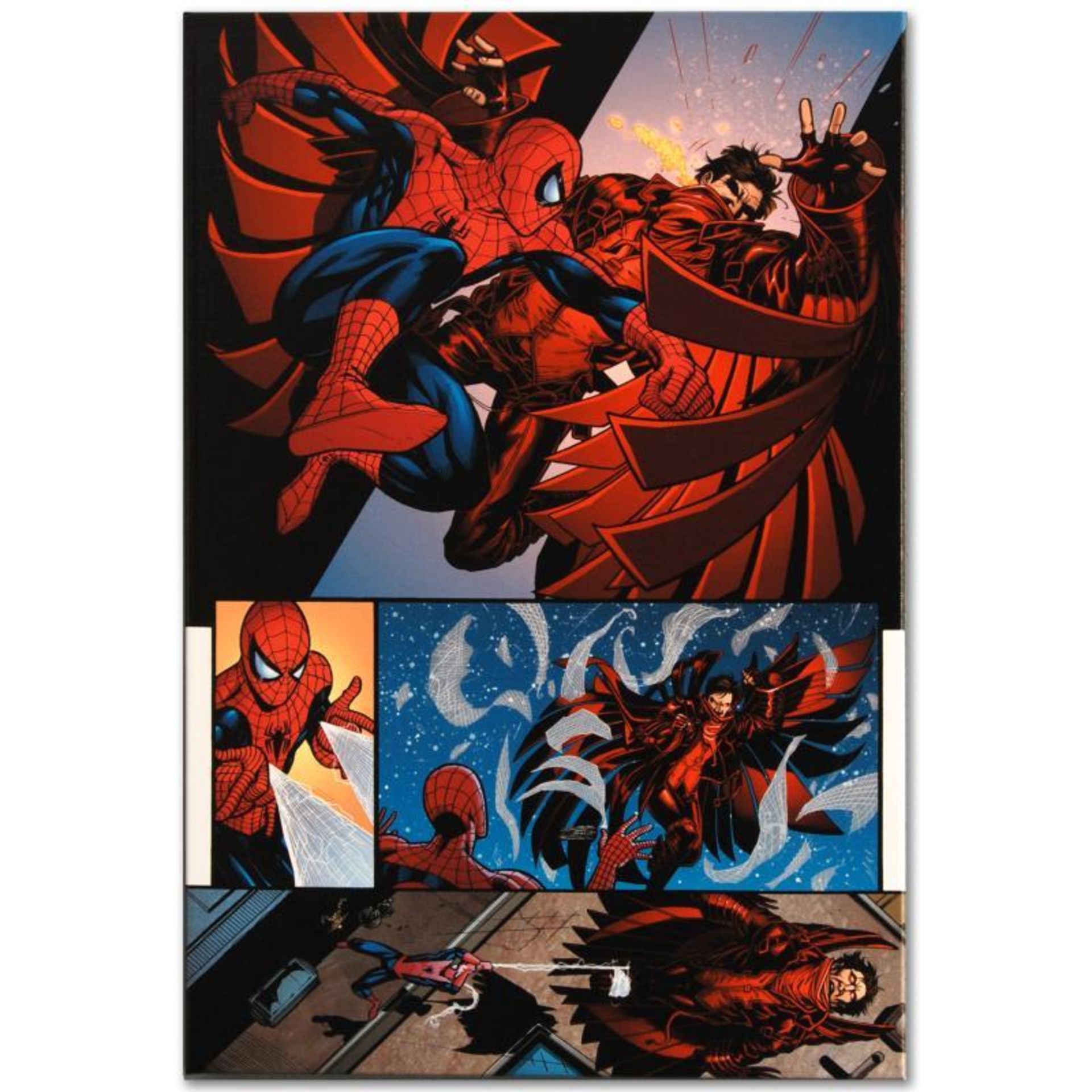 Marvel Comics "The Amazing Spider-Man #594" Numbered Limited Edition Giclee on C
