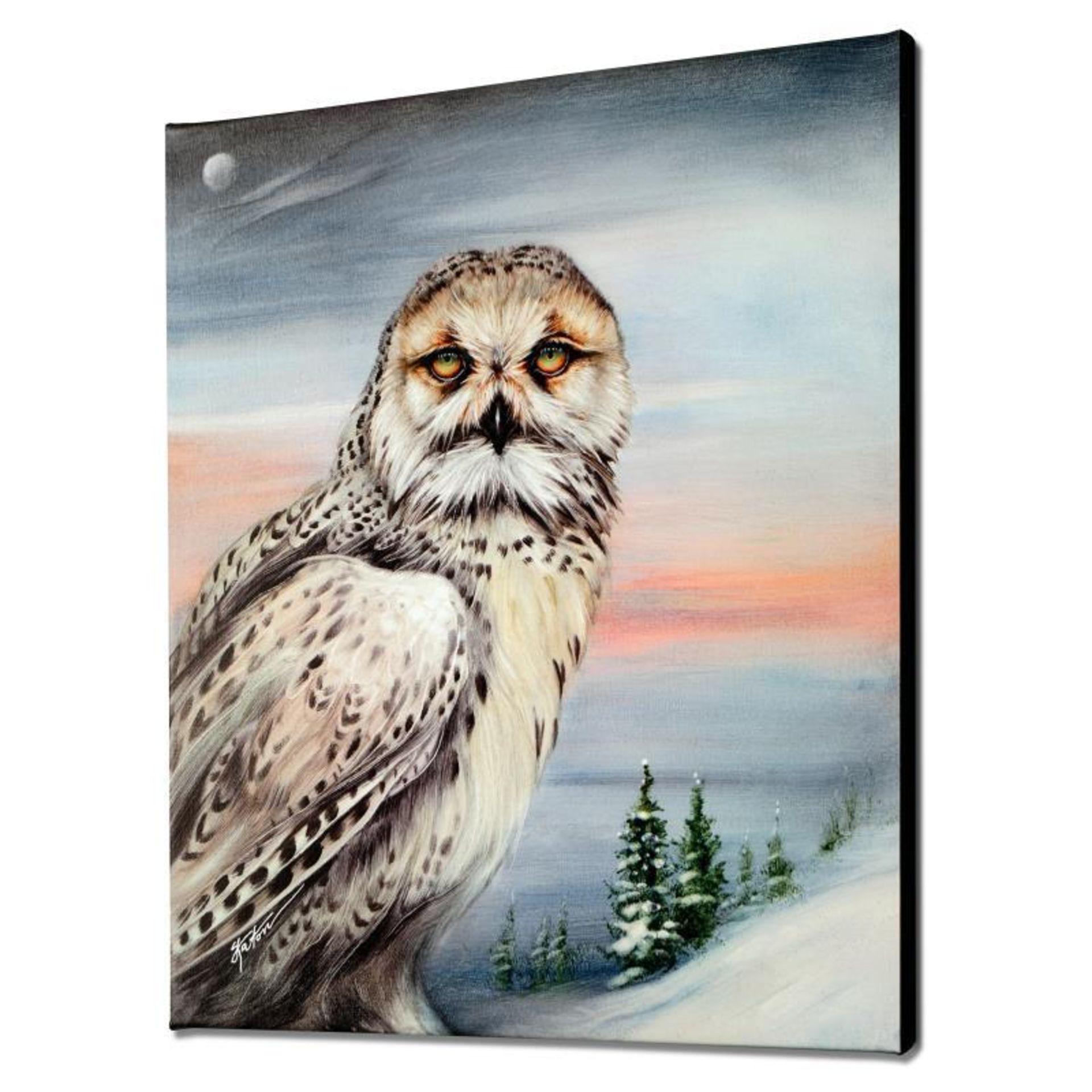 "Snow Owl in Alaska" Limited Edition Giclee on Canvas by Martin Katon, Numbered - Image 2 of 2