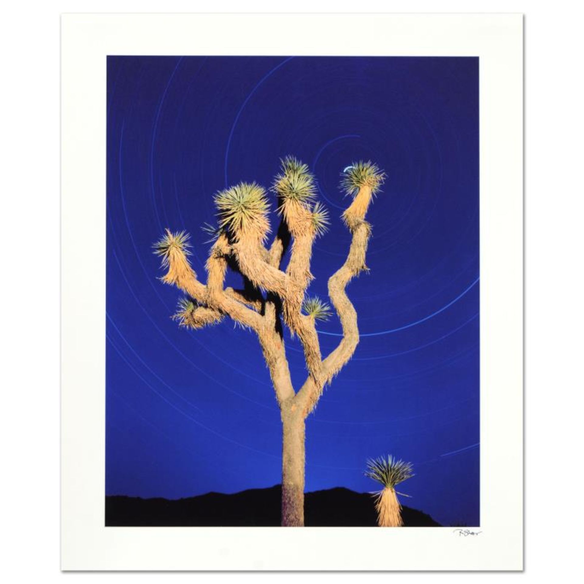 Robert Sheer, "Joshua Tree" Limited Edition Single Exposure Photograph, Numbered