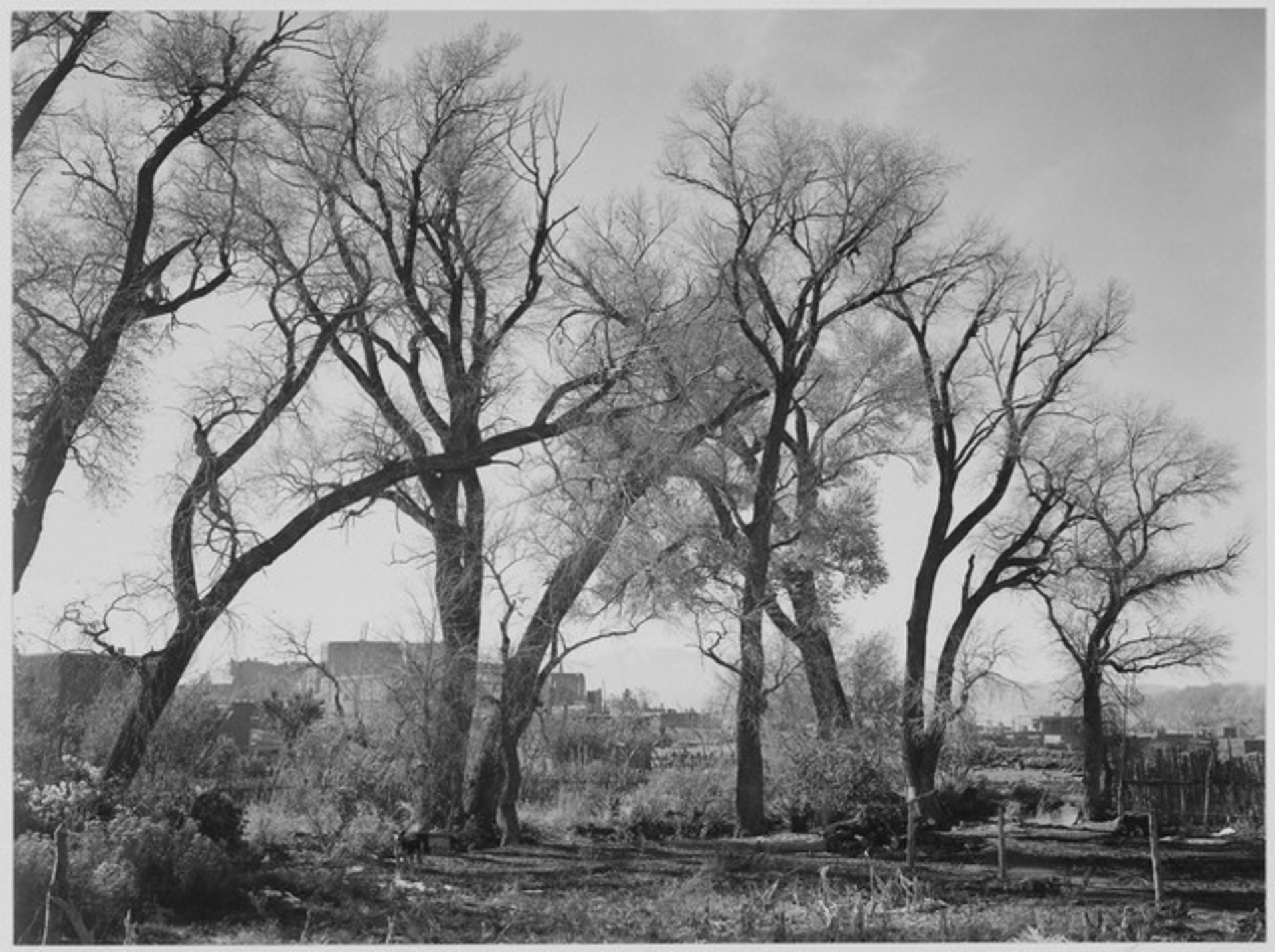 Adams - Taos Pueblo New Mexico 2