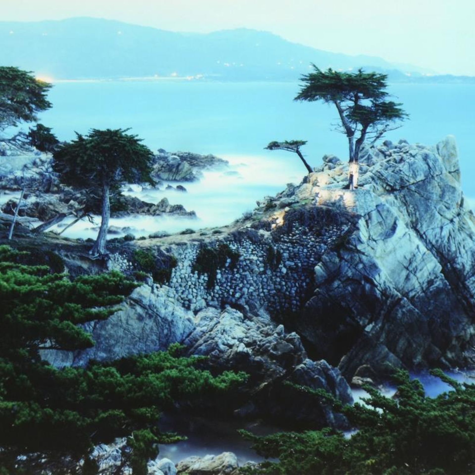 Spirits Honoring the Lone Cypress by Sheer, Robert - Image 2 of 2