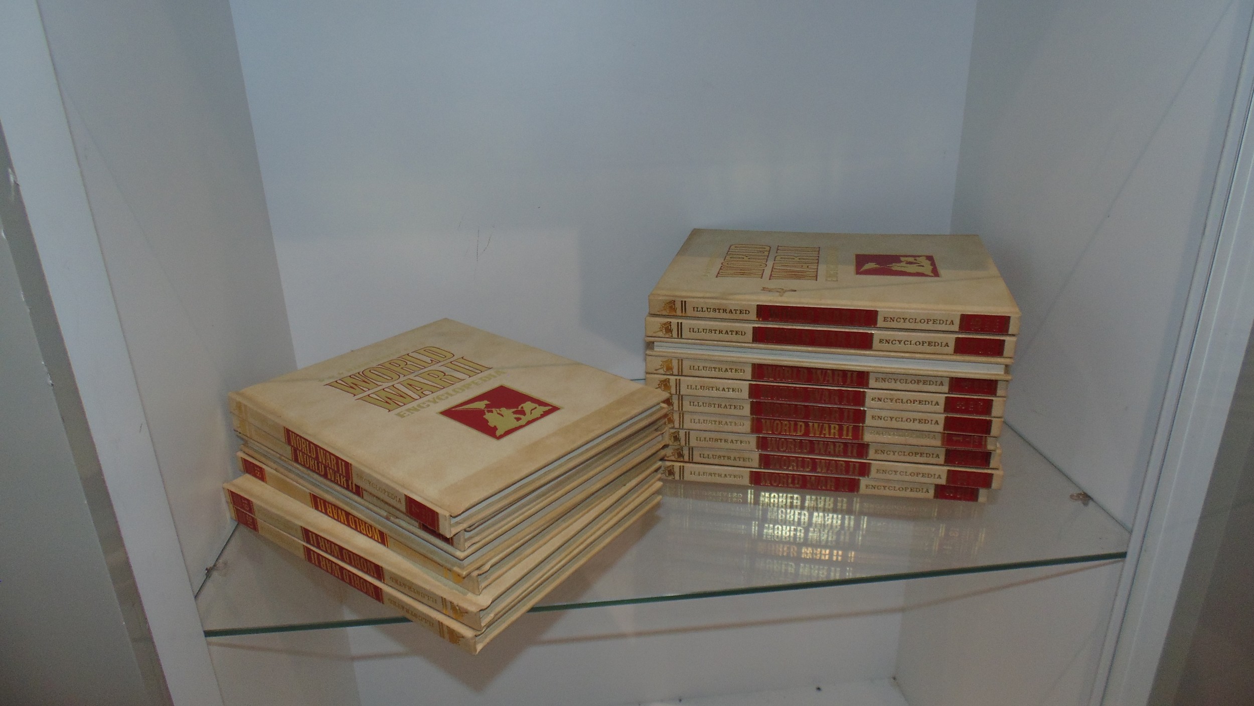 Collection of Vietnam Experience books