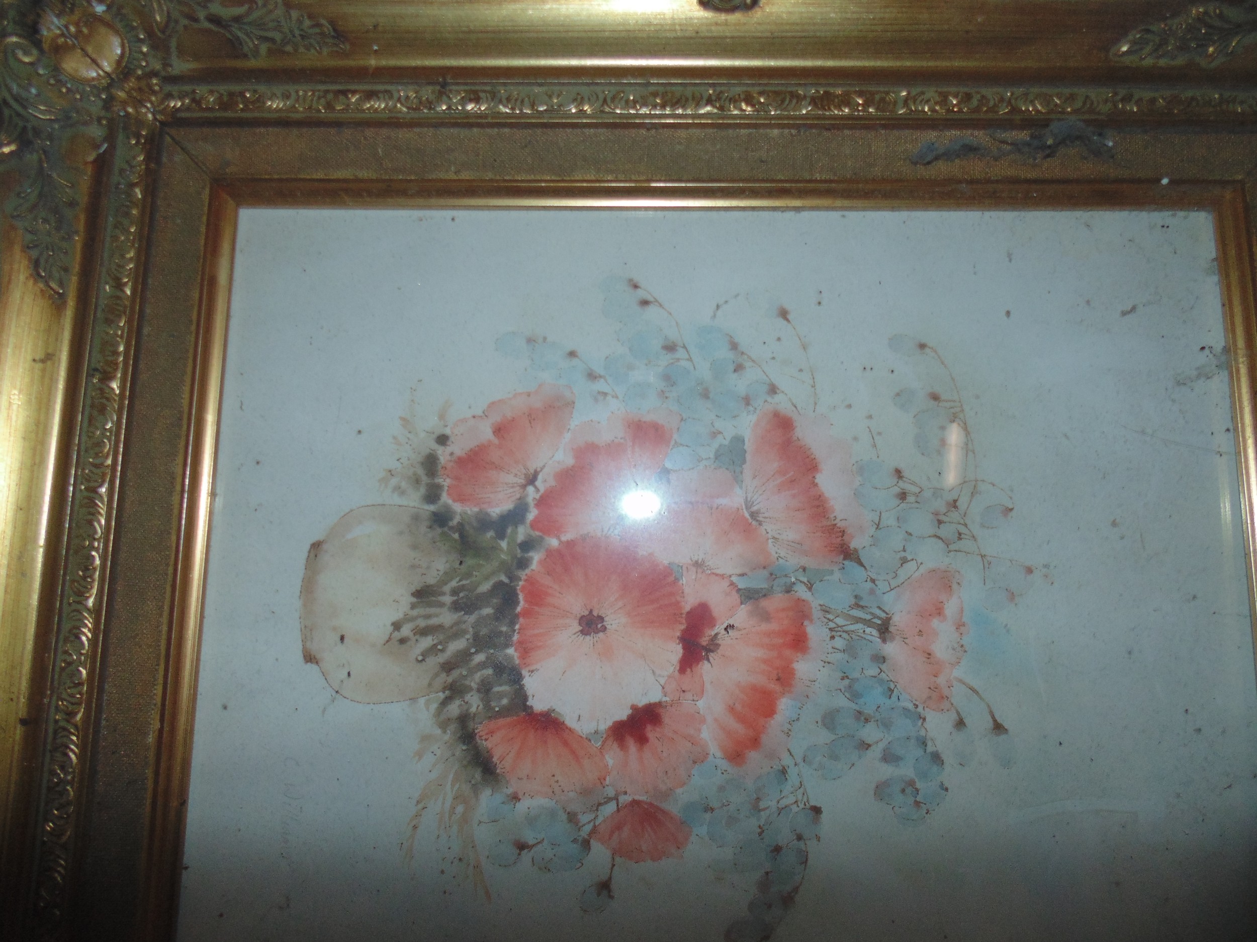 watercolour depicting poppies in a gilded frame signed C. Williams